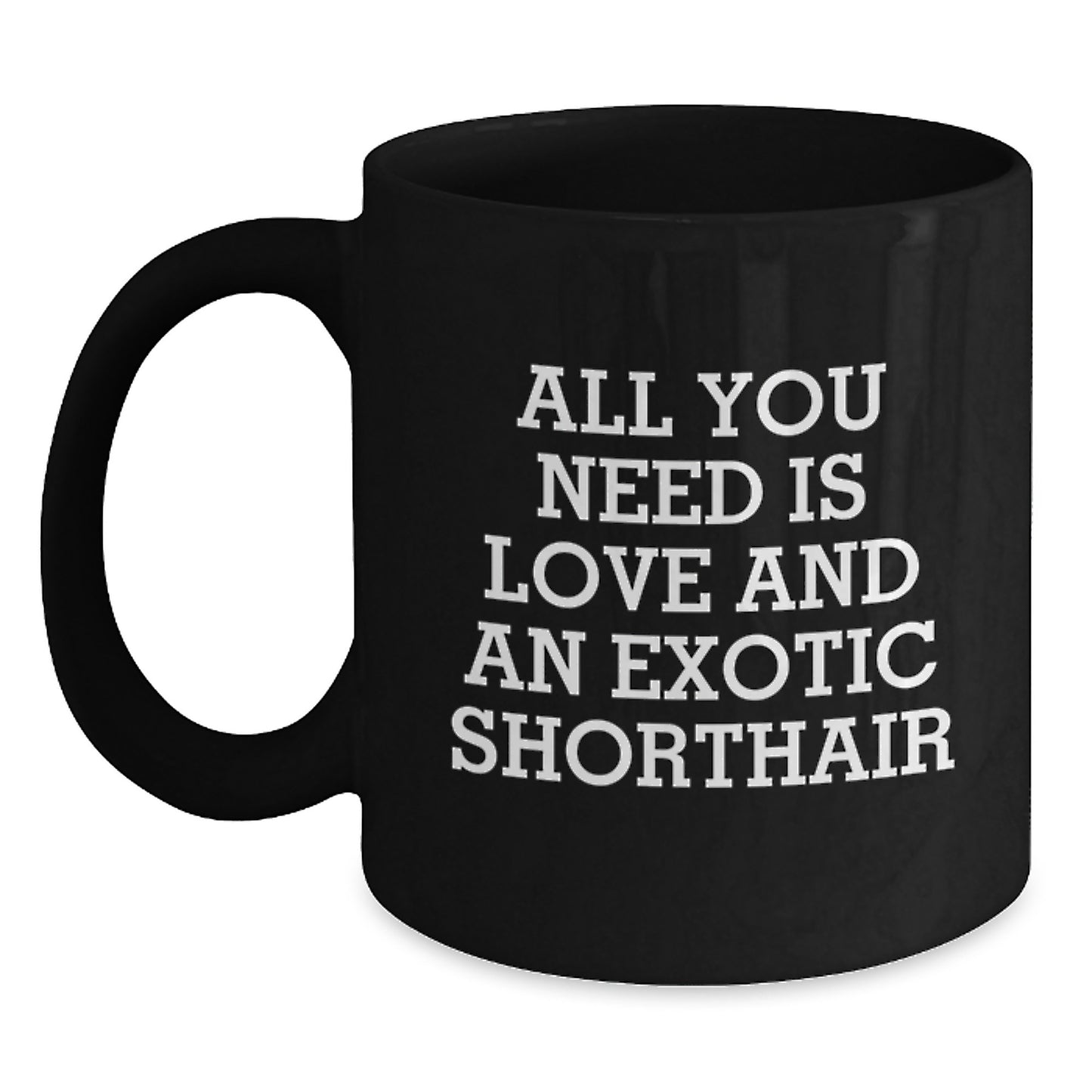 Funny Exotic Shorthair Cat Lovers Gifts from Friends and Family for Birthday Unique Mugs - Main