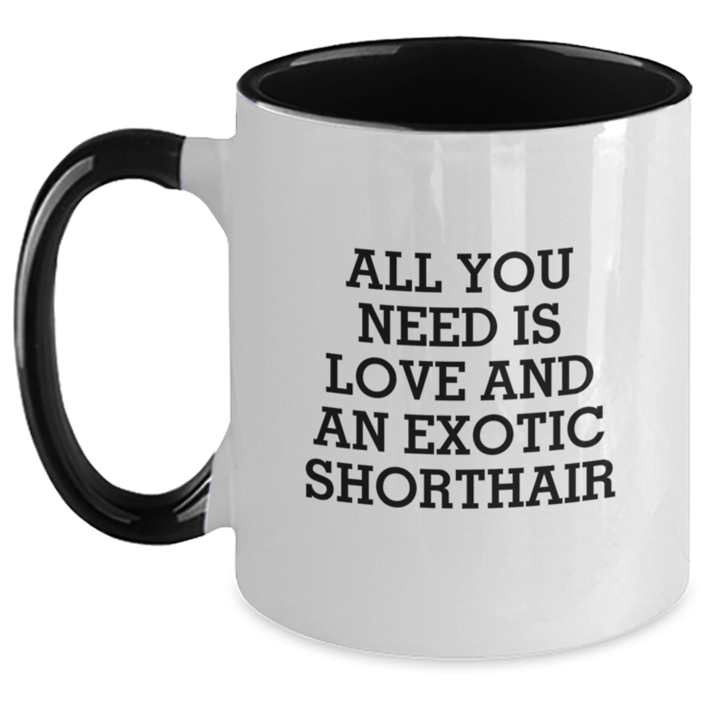Exotic Shorthair Cat Lovers Gifts from Friends, Exotic Shorthair Cat Enthusiasts, Funny Birthday Unique Gifts, Unique Two Tone Coffee Mug - Main