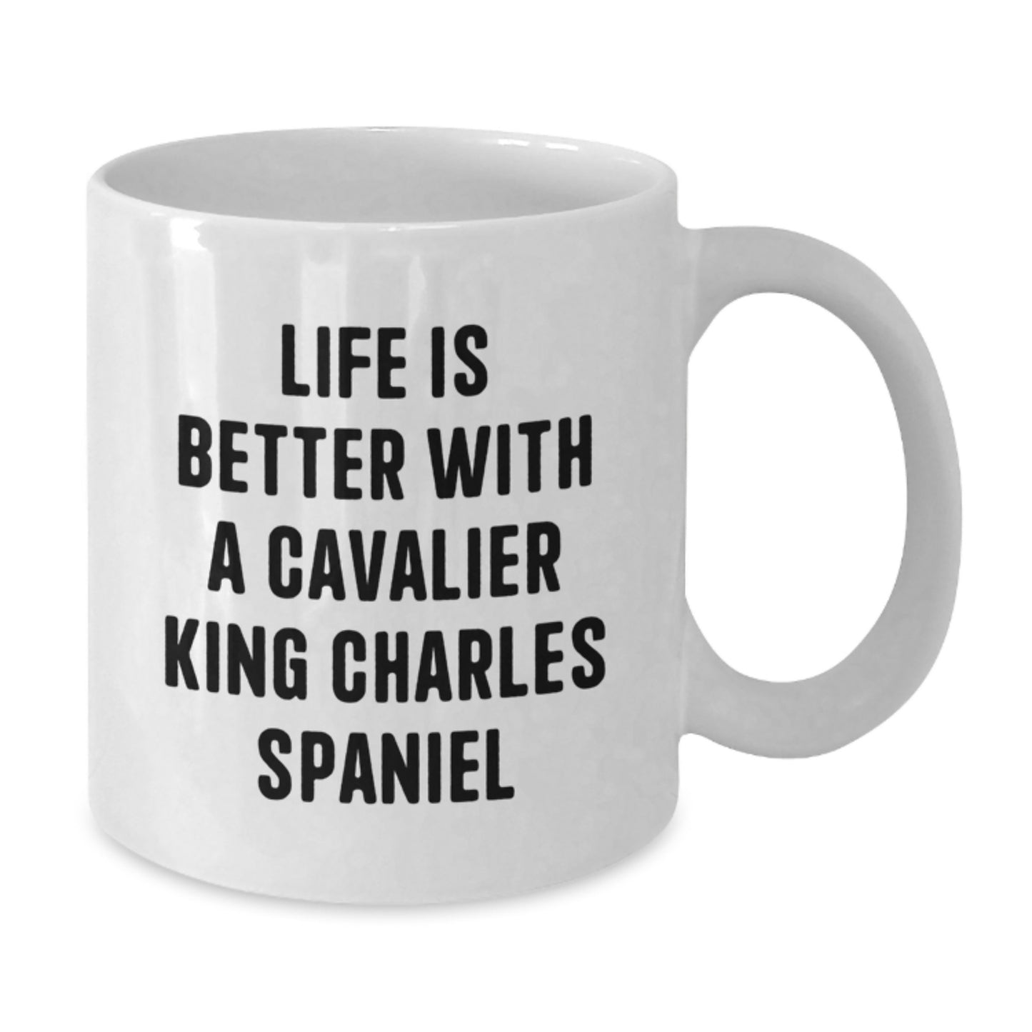 Cavalier King Charles Spaniel Dog Gifts, Funny Quotes, White Coffee Mug, Gifts from Family for Graduation - Additional
