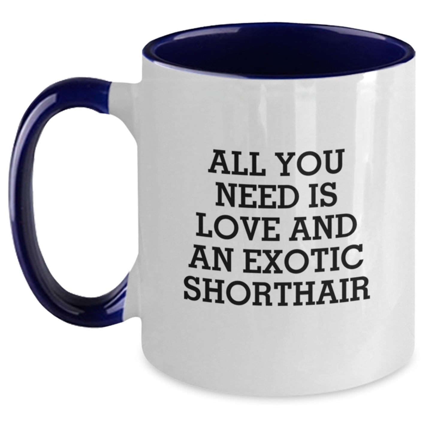 Exotic Shorthair Cat Lovers Gifts from Friends, Exotic Shorthair Cat Enthusiasts, Funny Birthday Unique Gifts, Unique Two Tone Coffee Mug - Main
