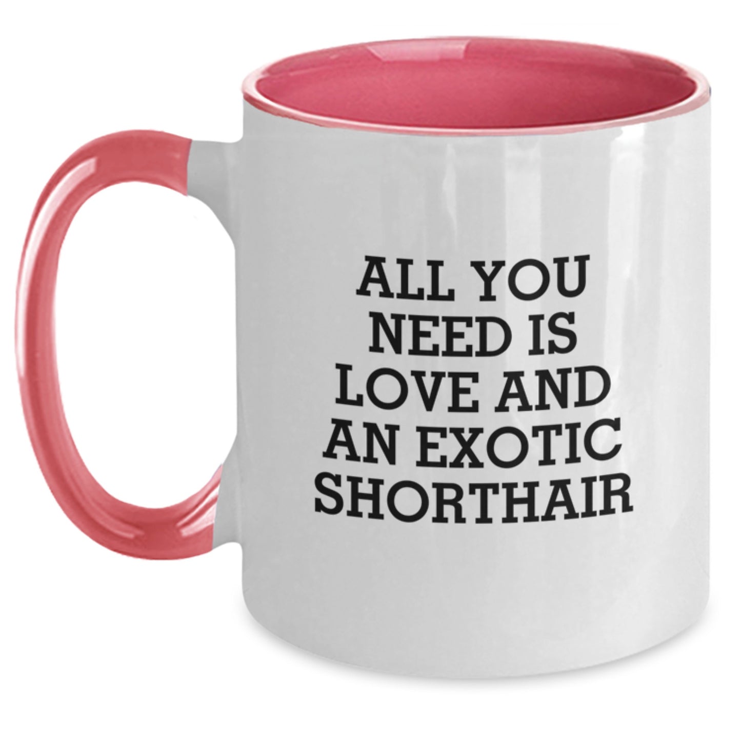 Exotic Shorthair Cat Lovers Gifts from Friends, Exotic Shorthair Cat Enthusiasts, Funny Birthday Unique Gifts, Unique Two Tone Coffee Mug - Main