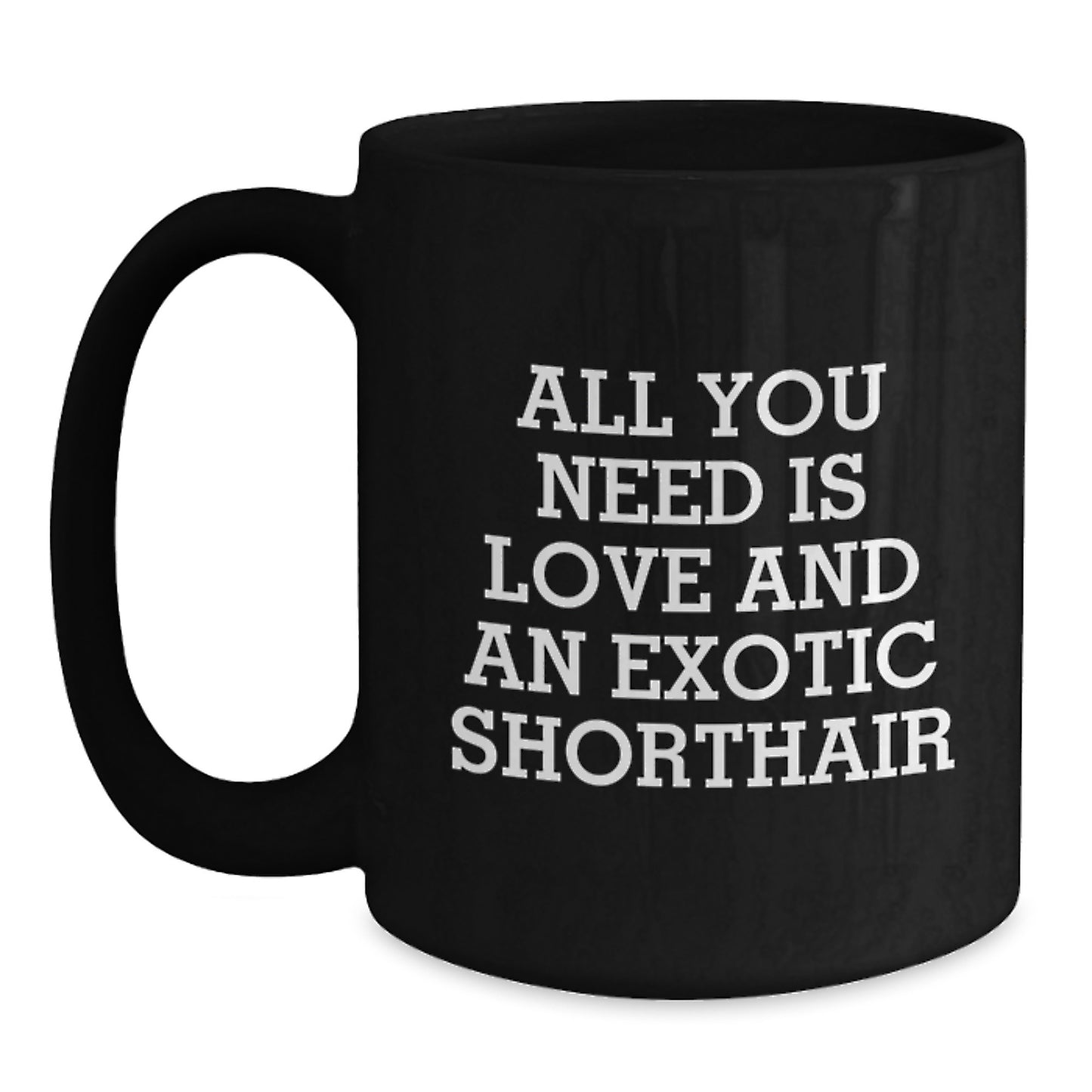 Funny Exotic Shorthair Cat Lovers Gifts from Friends and Family for Birthday Unique Mugs - Main