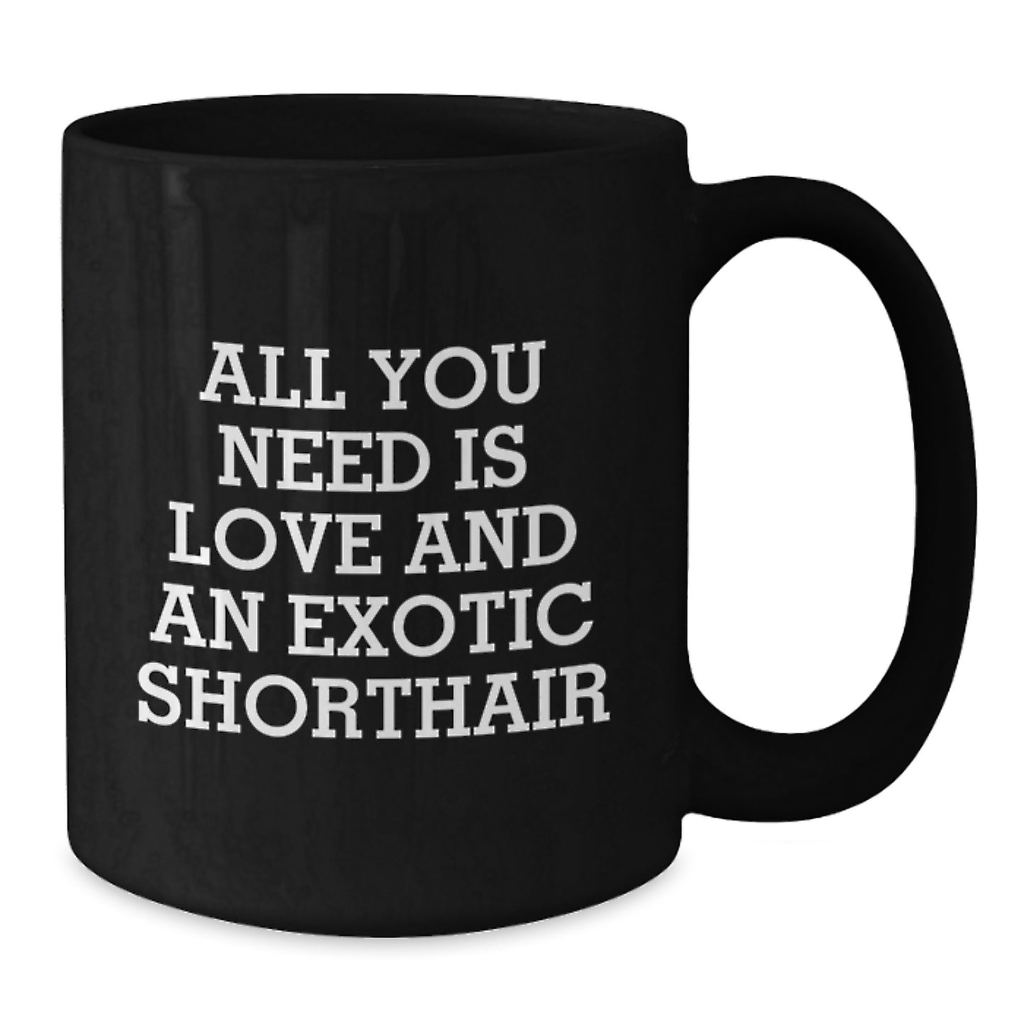 Funny Exotic Shorthair Cat Lovers Gifts from Friends and Family for Birthday Unique Mugs - Additional