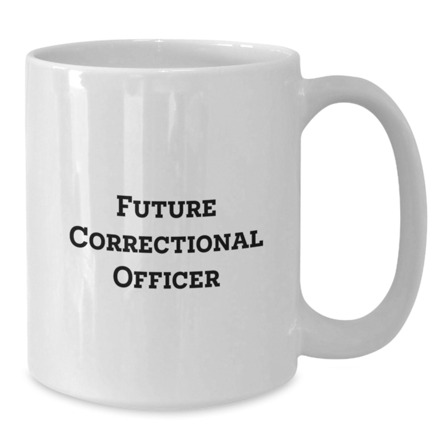 Funny Quote Gifts from Friends to Future Correctional Officer, White Coffee Mug for Correctional Officer, Christmas Morning Unique Ideas - Additional