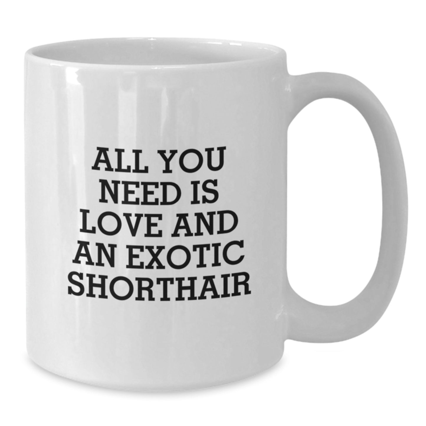 Exotic Shorthair Cat Lovers Gifts from Friends for Birthday Morning - All You Need Is Love And An Exotic Shorthair, Funny White Coffee Mug - Additional