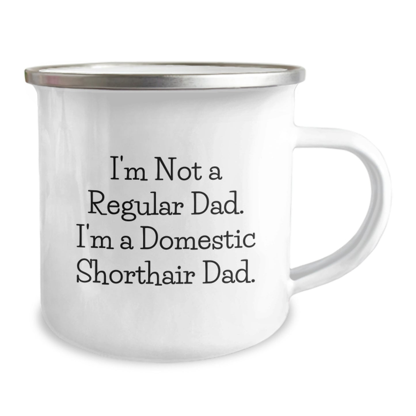 Funny Domestic Shorthair Cat Camping Mug Gifts for Men from Friends, I'm Not A Regular Dad, Unique Graduation Ideas - Image 2