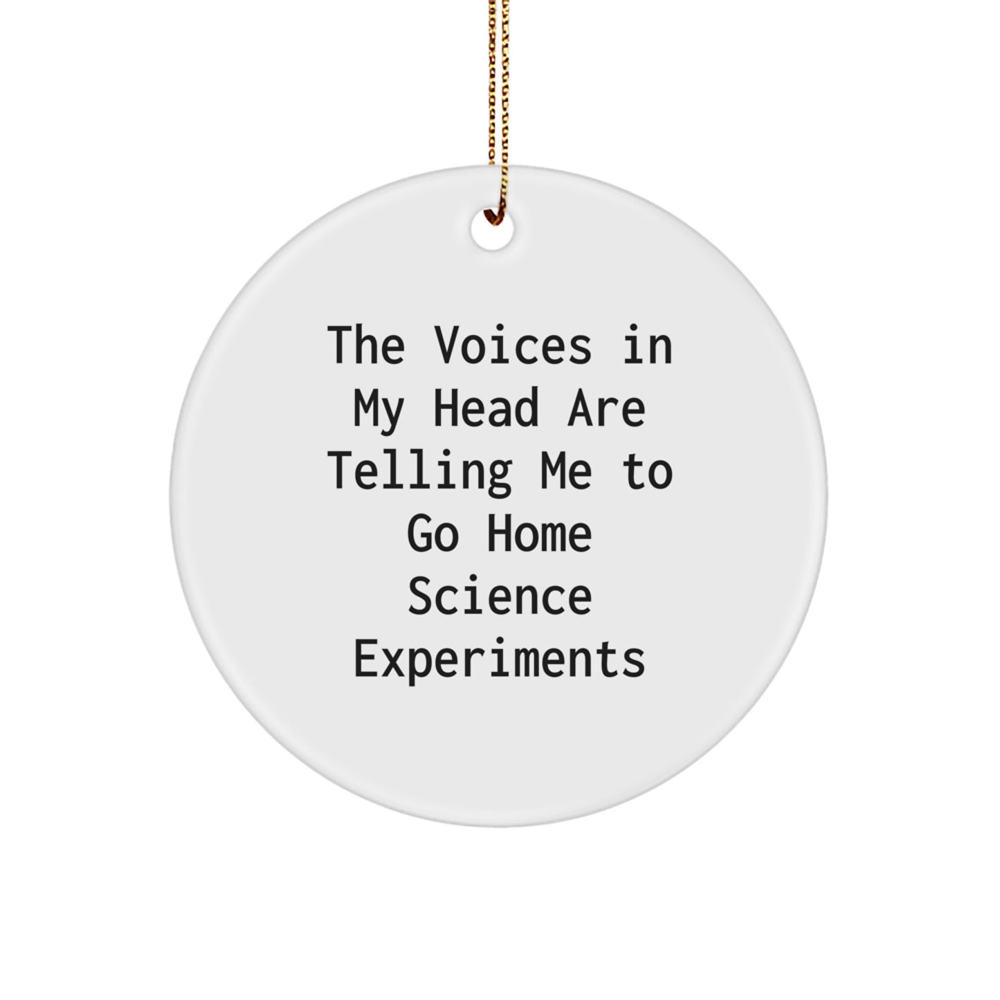 Funny Home Science Experiments Circle Ornament Gifts from Family, Perfect for Home Science Experiments Enthusiasts, Christmas Unique Gifts for Friends and Family - Image 1