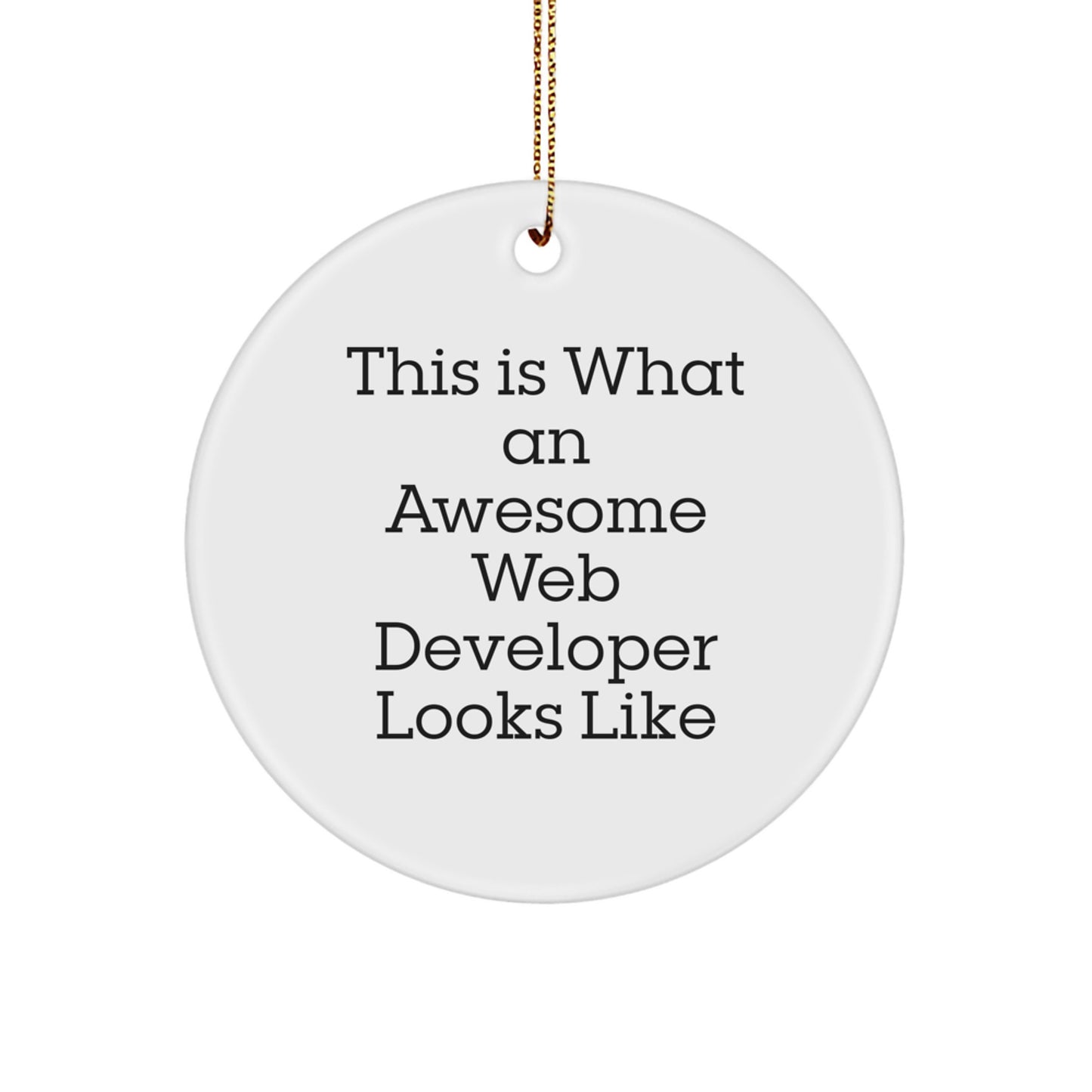 Inspirational Web Developer Gifts from Friends - This Is What An Awesome Web Developer Looks Like Circle Ornament for Christmas - Image 1