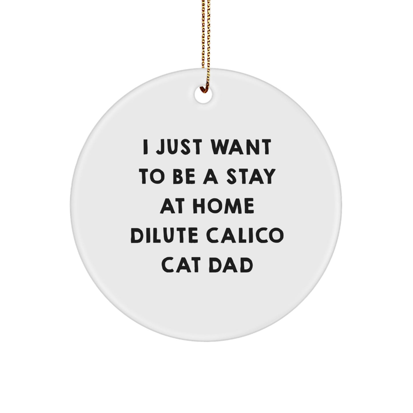 Dilute Calico Cat Dad Funny Gifts from Men to Friends at Christmas, Circle Ornament with Quote 'I Just Want To Be A Stay At Home Dilute Calico Cat Dad', Unique Dilute Calico Cat Lover Present - Image 1