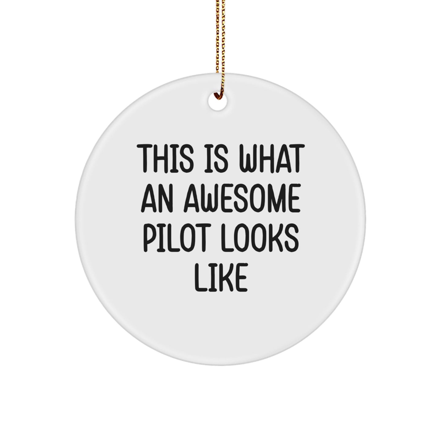 Funny Pilot Gifts from Friends for Awesome Pilots, Christmas Unique Gifts for Men, Circle Ornament of This Is 'What an Awesome Pilot Looks Like' Inspirational Quote - Image 1