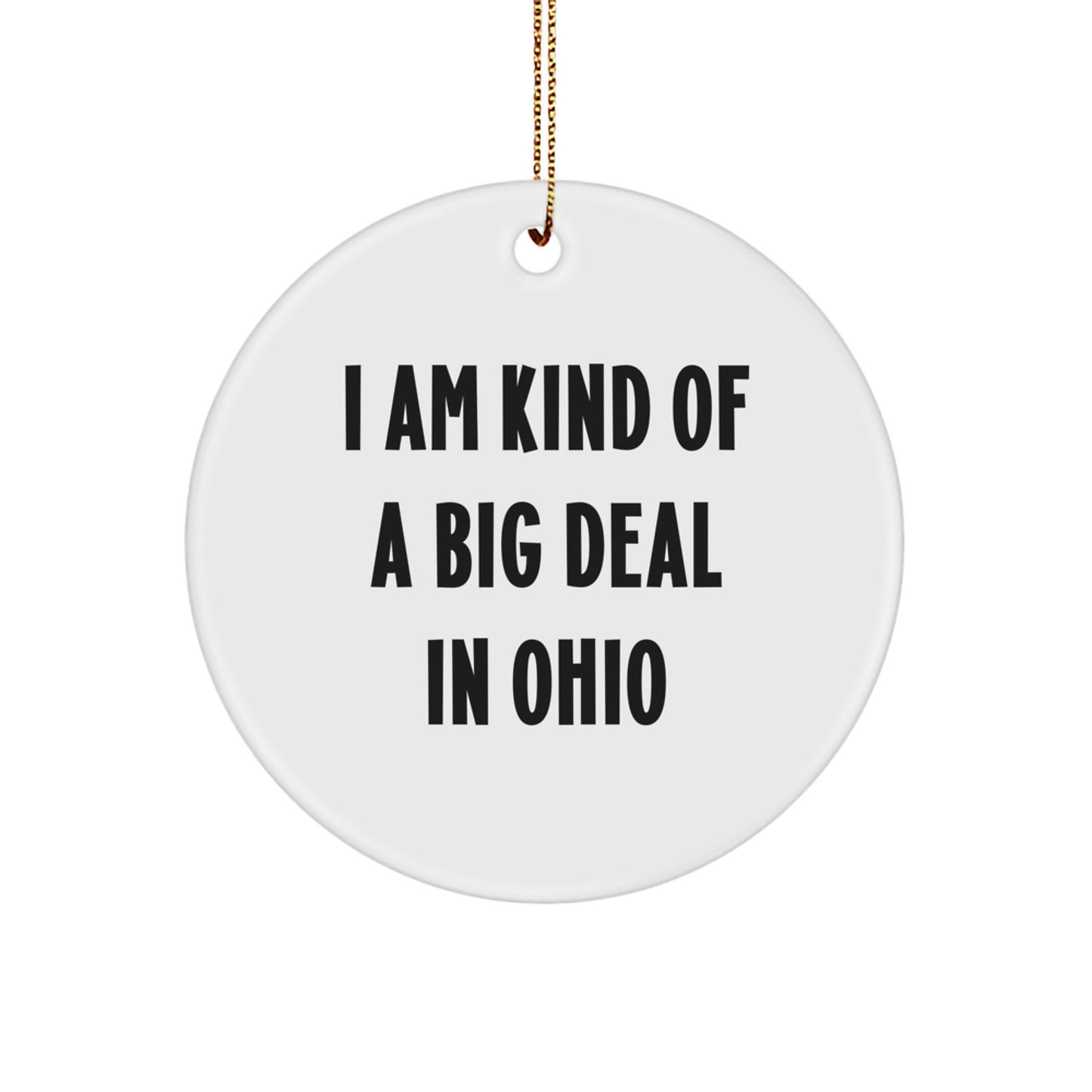 Funny Ohio Gifts, Circle Ornament for Ohio Home Decor, 'I Am Kind Of A Prime Selection In Ohio' Christmas Decoration - Image 1
