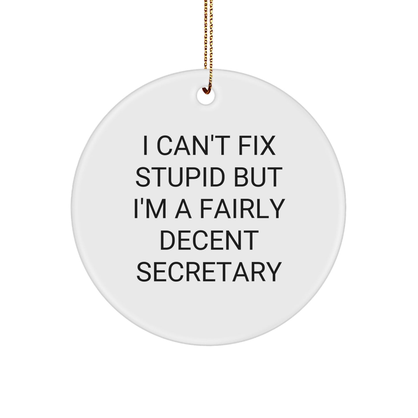 Funny Secretary Gifts from Friends, Cute Circle Ornament with I Can't Fix Stupid But I'm A Fairly Decent Secretary Quote for Christmas - Image 1