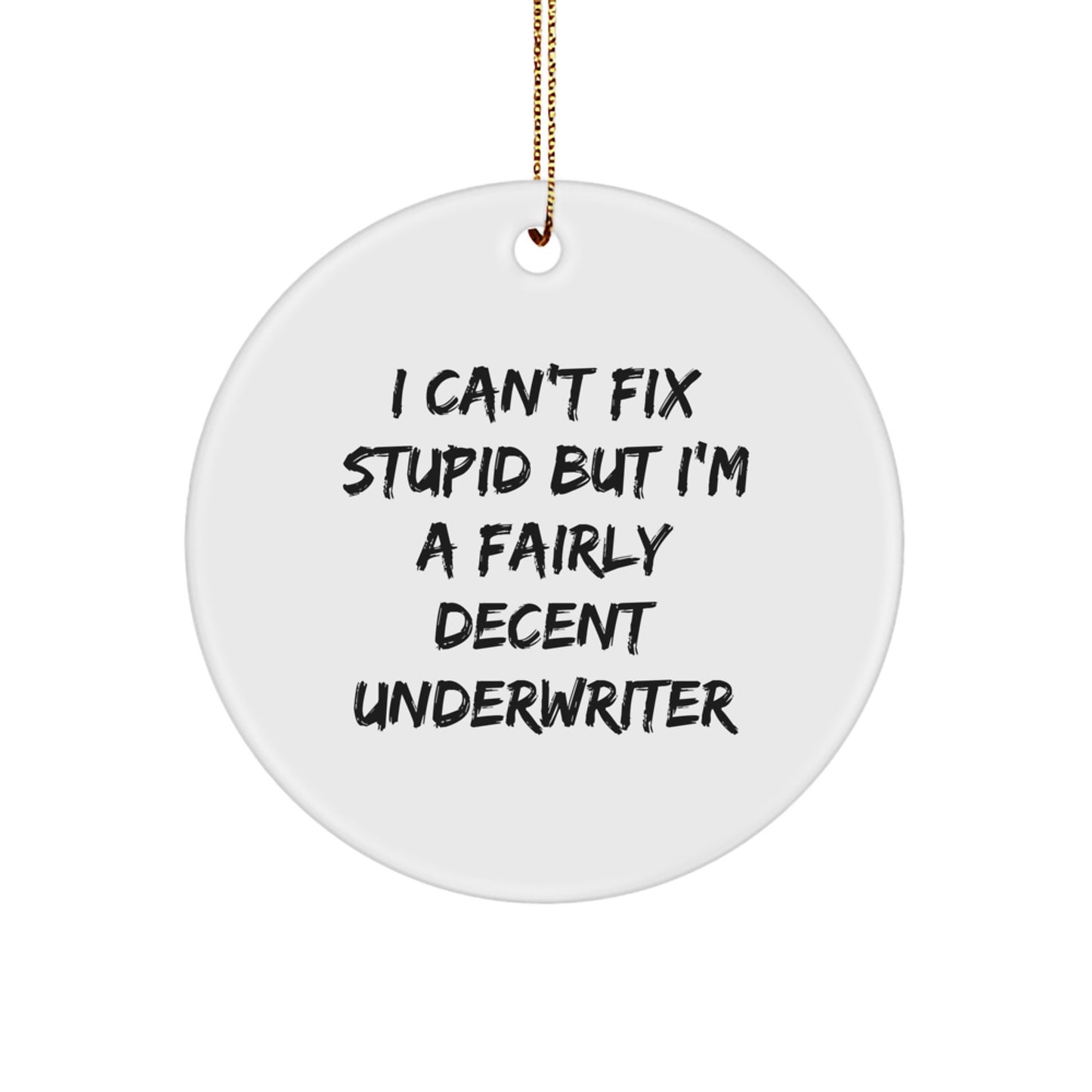 Funny Underwriter Gifts from Men for Women Friends Coworkers Family, Unique Circle Ornament I Can't Fix Stupid But I'm A Fairly Decent Underwriter, Christmas Decorations for Home Office Desk - Image 1