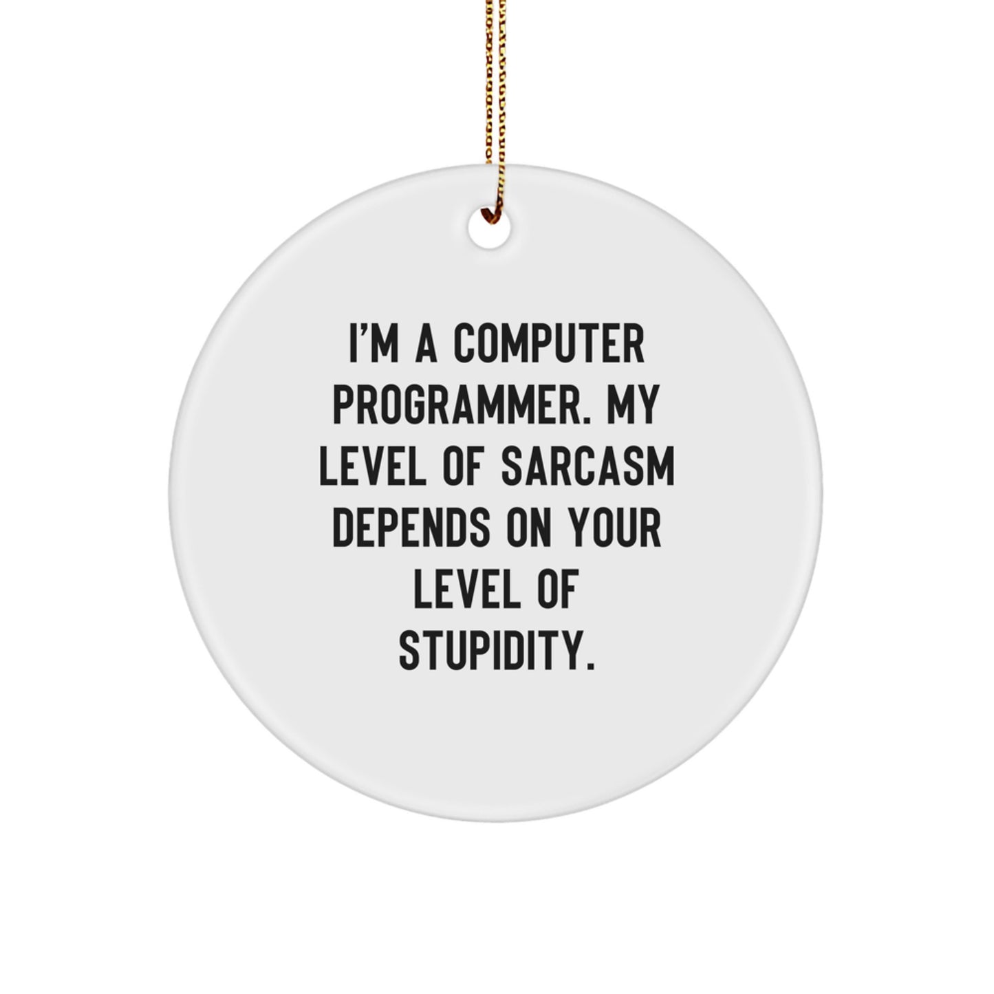 Funny Computer Programmer Gifts for Men, Women, Friends, Coworkers - 'I'm A Computer Programmer' Circle Ornament, Christmas Unique Decorations - Image 1