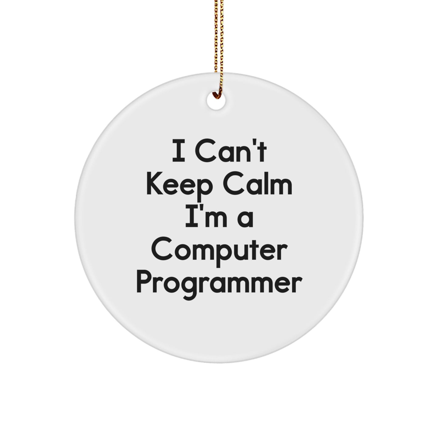 Funny Computer Programmer Gifts from Men to Friends - I'm A Computer Programmer Circle Ornament for Christmas Unique Presents - Image 1