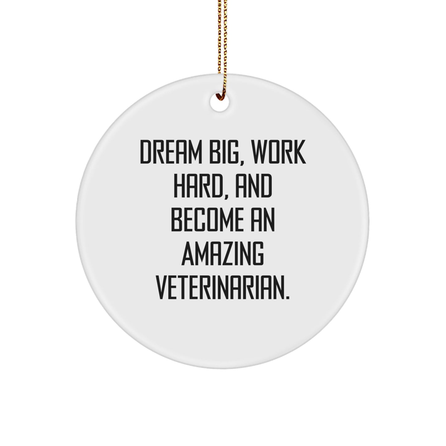 Funny Veterinarian Gifts from Friends for Christmas, Circle Ornament with Inspirational Quote - 'Dream Big, Work Hard, And Become An Amazing Veterinarian. - Image 1