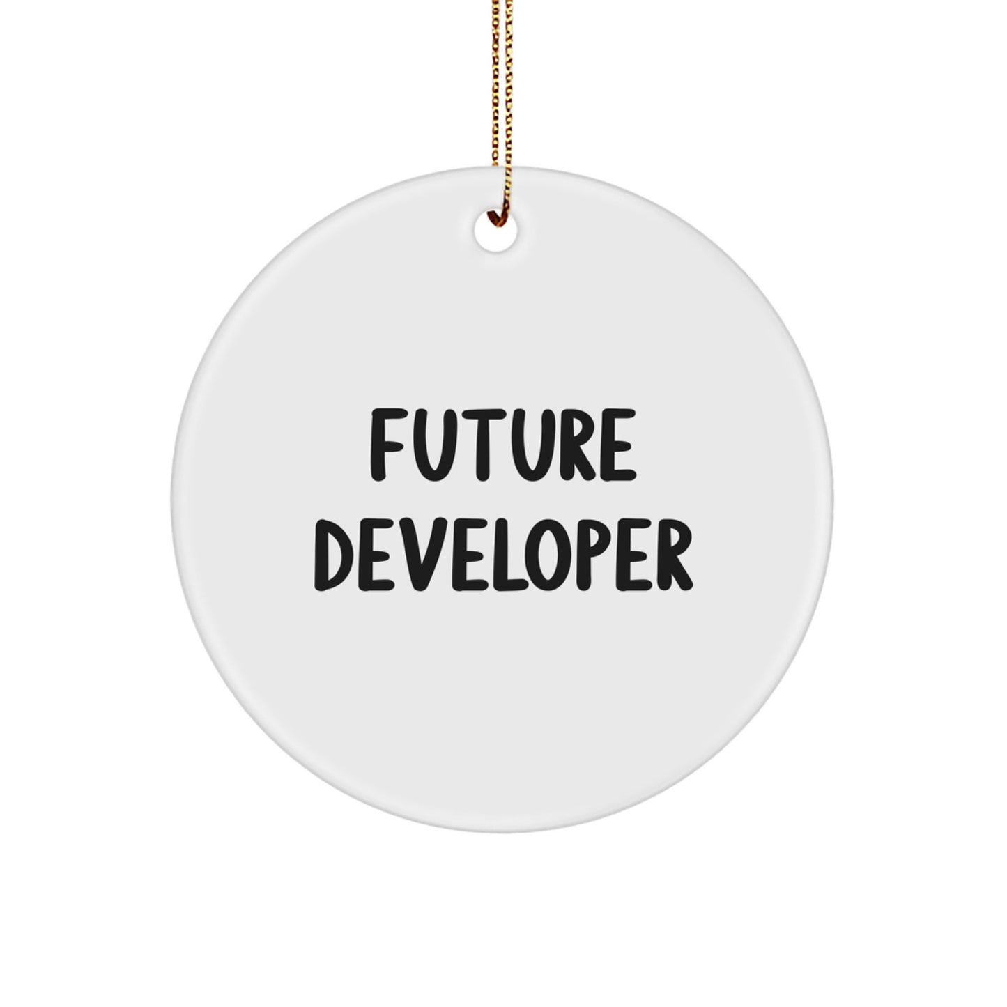Funny Quote Gifts from Friends for Future Developers - Circle Ornament Christmas Unique - Image 1