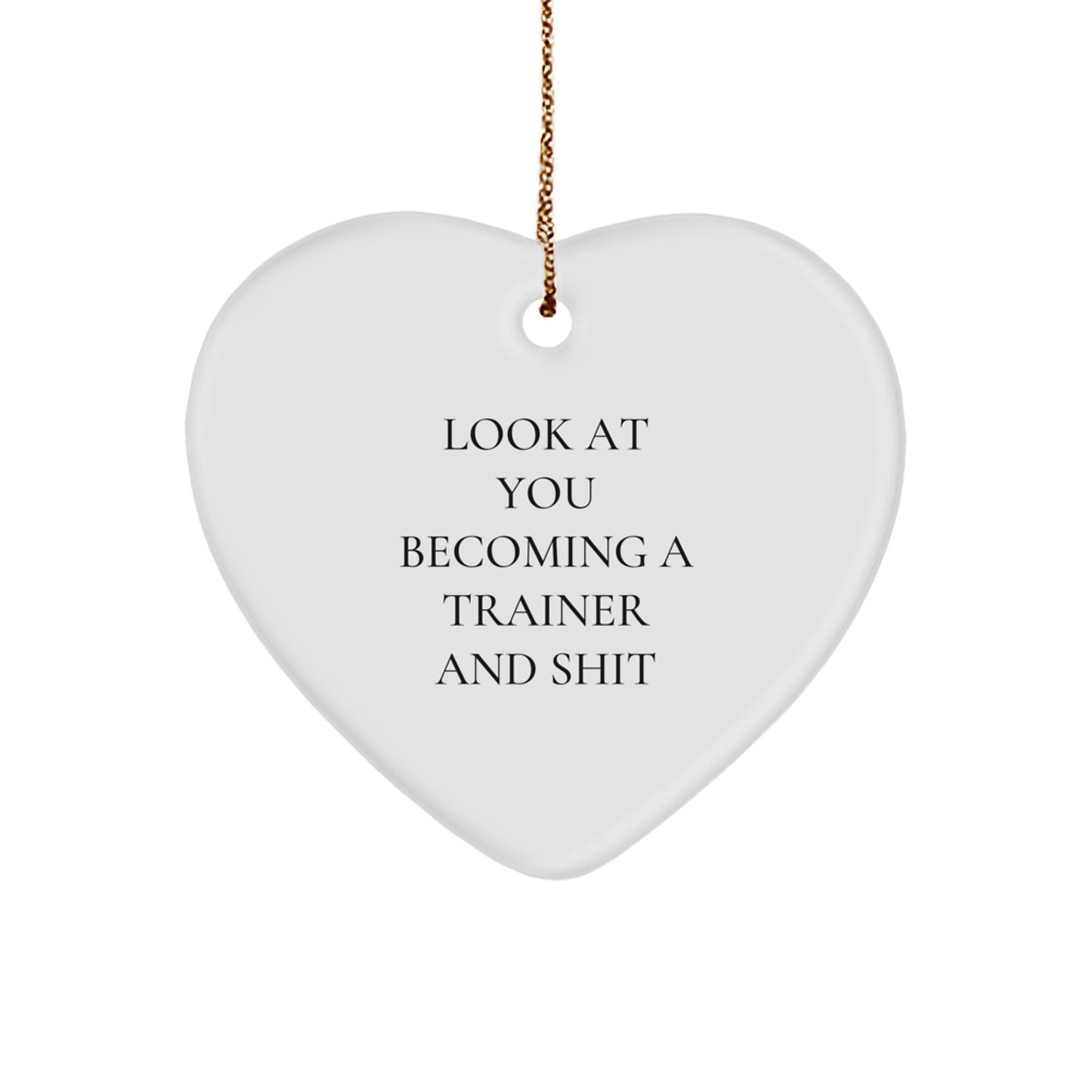 Funny Trainer Heart Ornament Gifts from Friends and Family for Trainers, Unique Christmas Unique Gifts, Trainer Quote Decor - Image 1