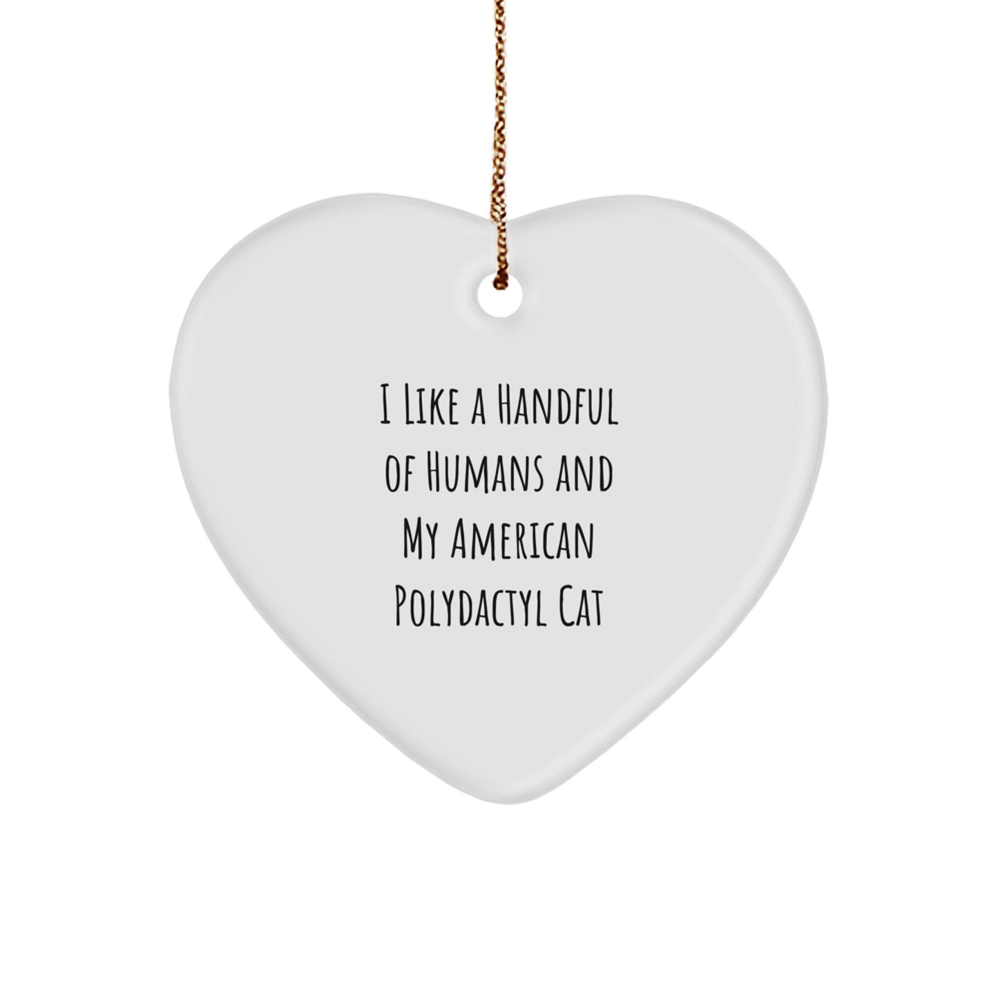Funny American Polydactyl Cat Lover Heart Ornament Gifts from Men to Family for Christmas Unique - Image 1