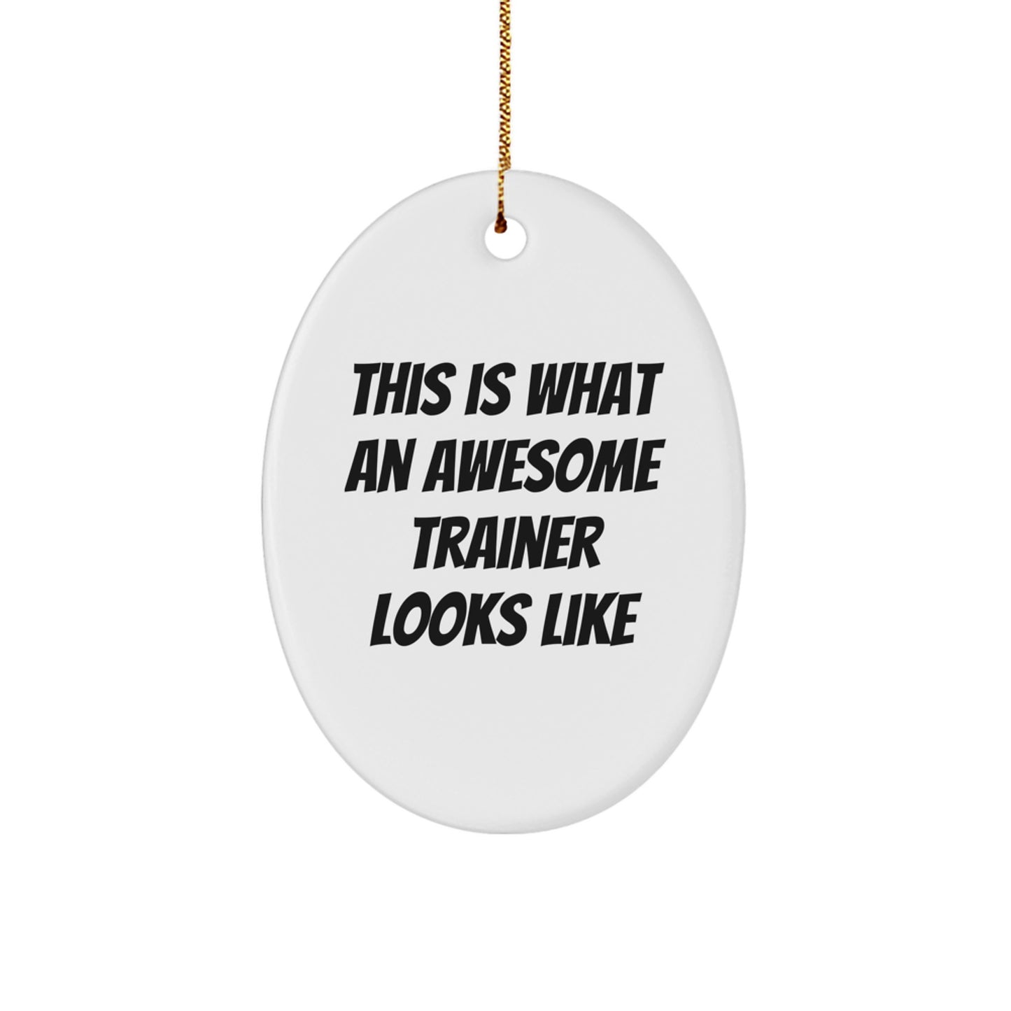Trainer Gifts from Friends, This Is What An Awesome Trainer Looks Like Oval Ornament for Christmas, Gifts for Trainers - Image 1