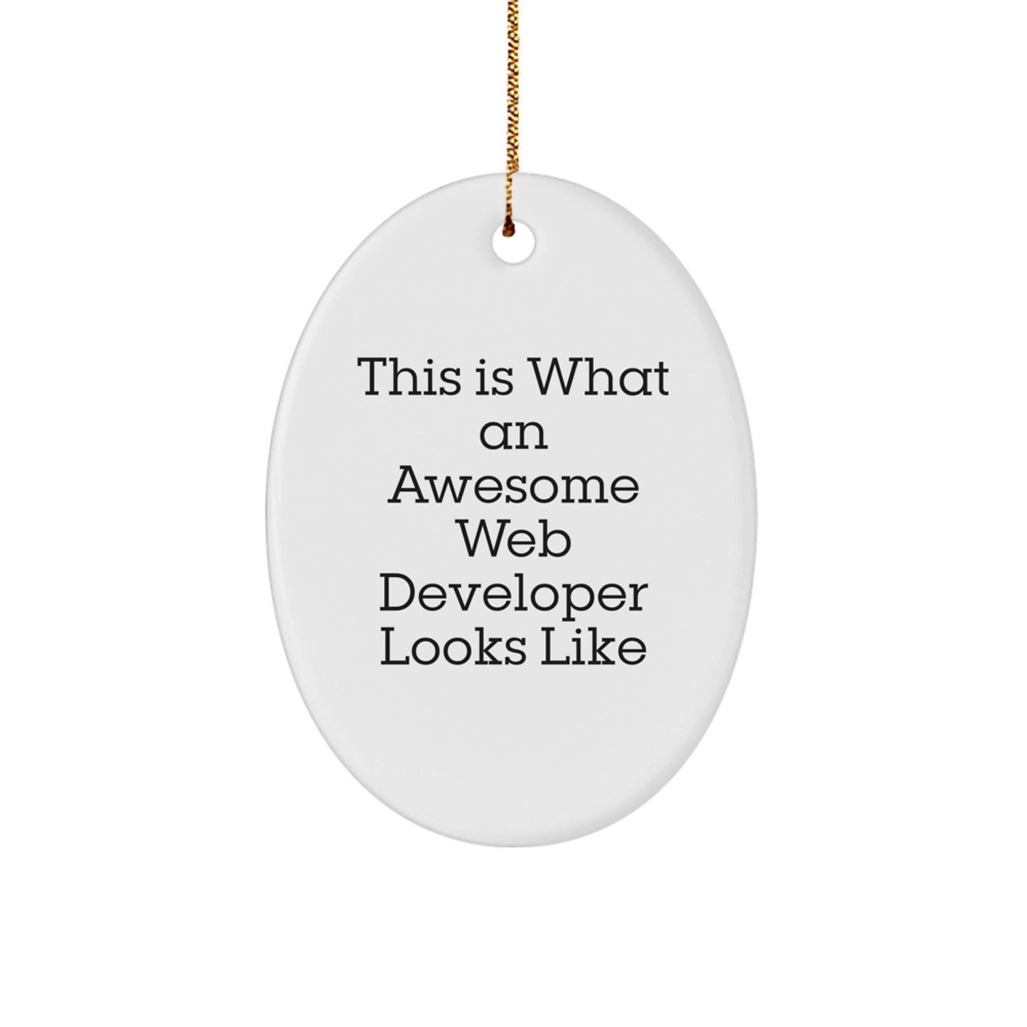 Funny Web Developer Gifts from Friends, 'This Is What An Awesome Web Developer Looks Like' Oval Ornament for Christmas - Image 1