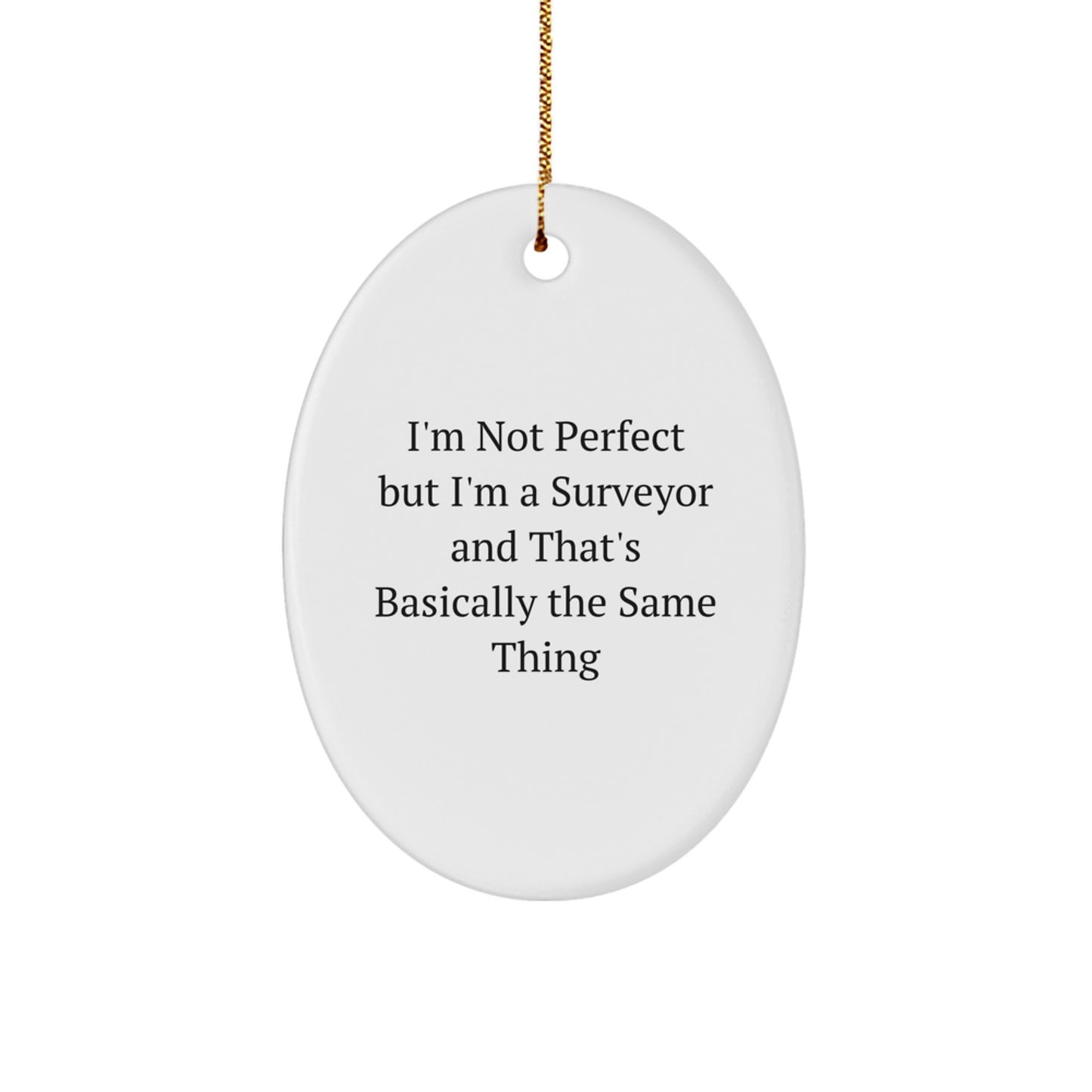 Funny Surveyor Gifts from Friends to Family - 'I'm Not Perfect' Oval Ornament for Christmas - Image 1