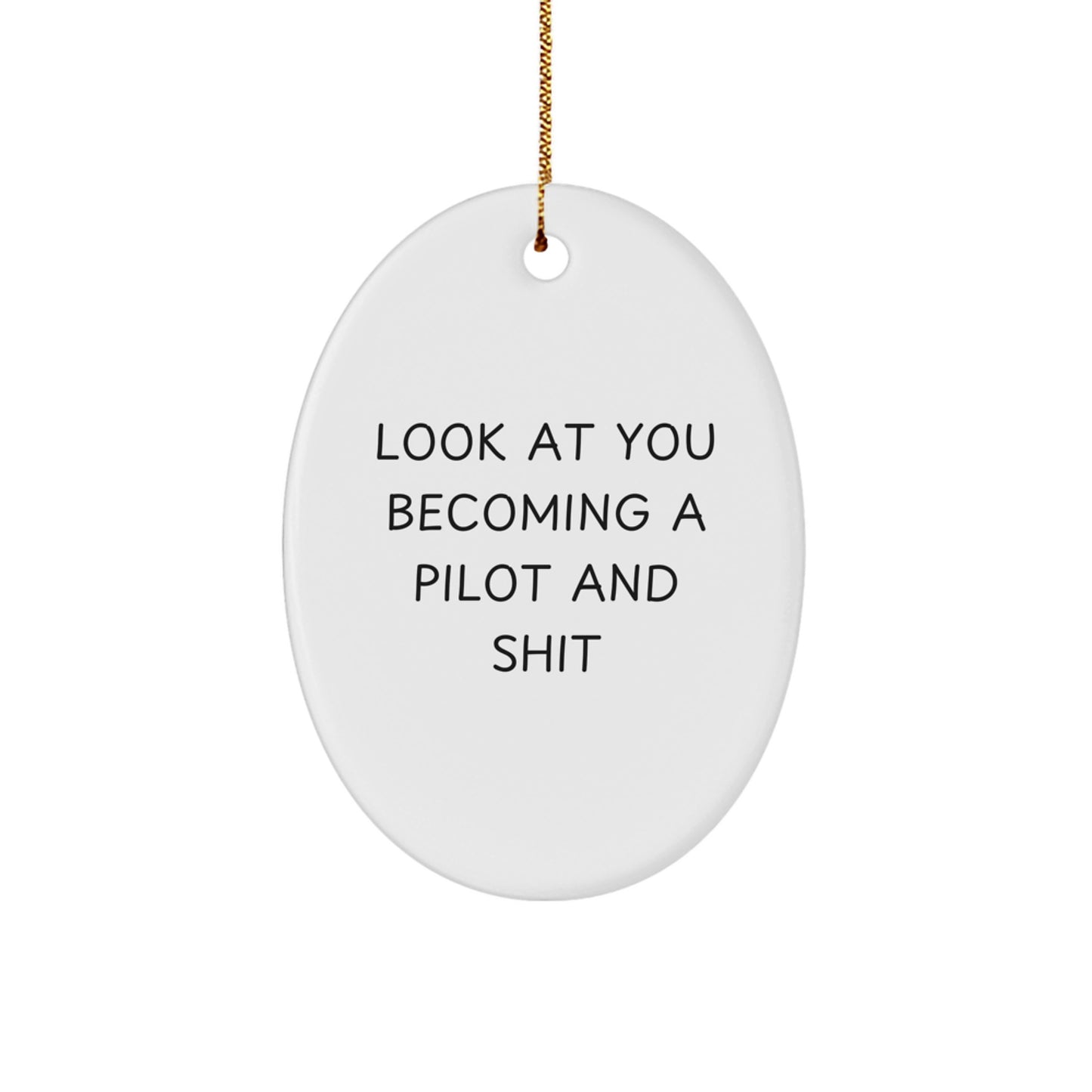 Funny Pilot Oval Ornaments Gifts from Men to Friends Becoming a Pilot - Image 1