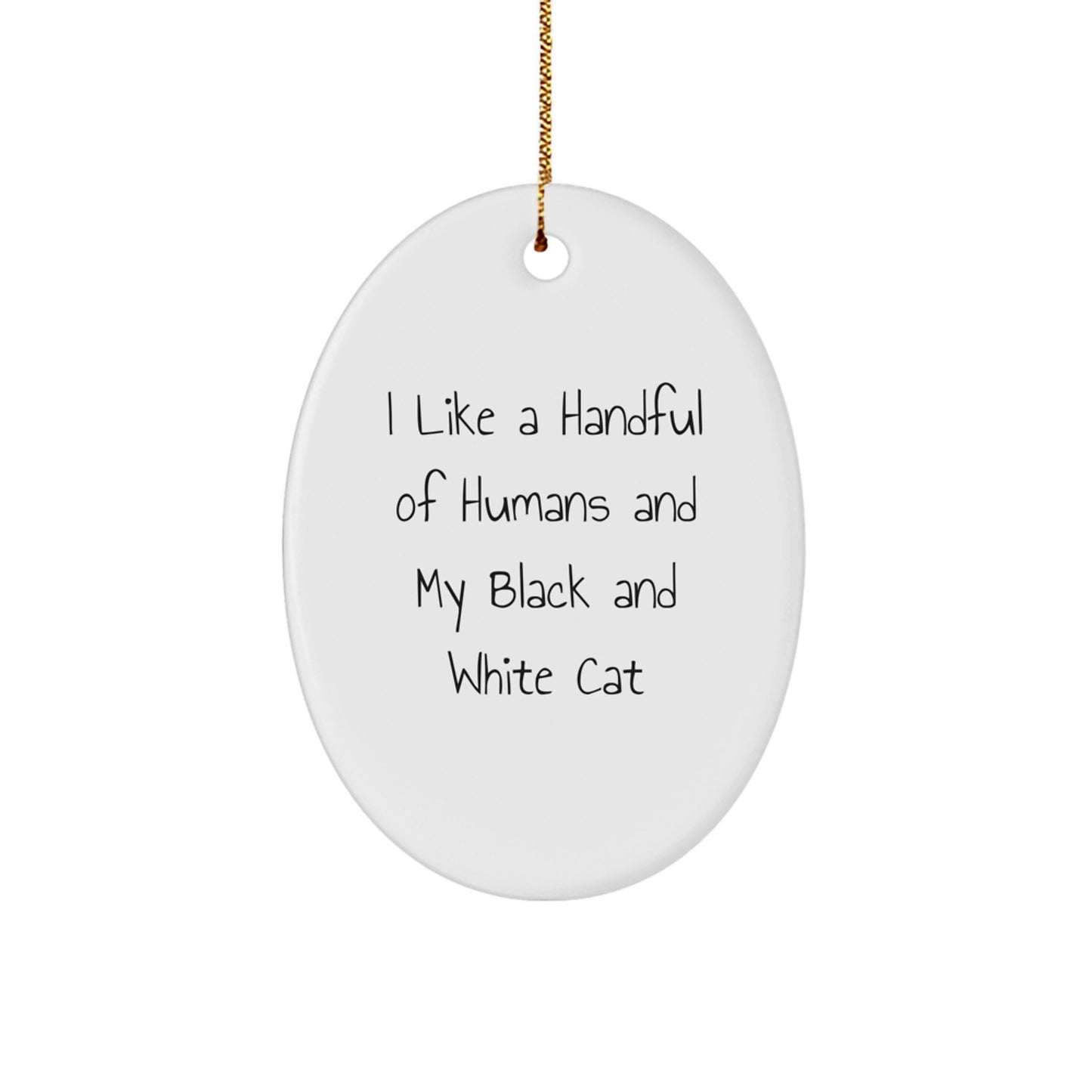 Black and White Cat Lover Gifts from Family - Funny Oval Ornament for Christmas Unique Decorations, I Like A Handful Of Humans And My Black And White Cat - Image 1