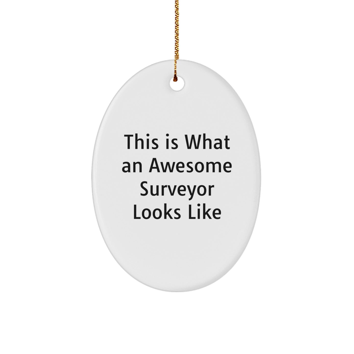 Funny Surveyor Gifts for Men - Oval Ornament with 'This Is What An Awesome Surveyor Looks Like' Quote, Gifts from Husband to Surveyor Friend - Unique Christmas Unique Gifts - Image 1