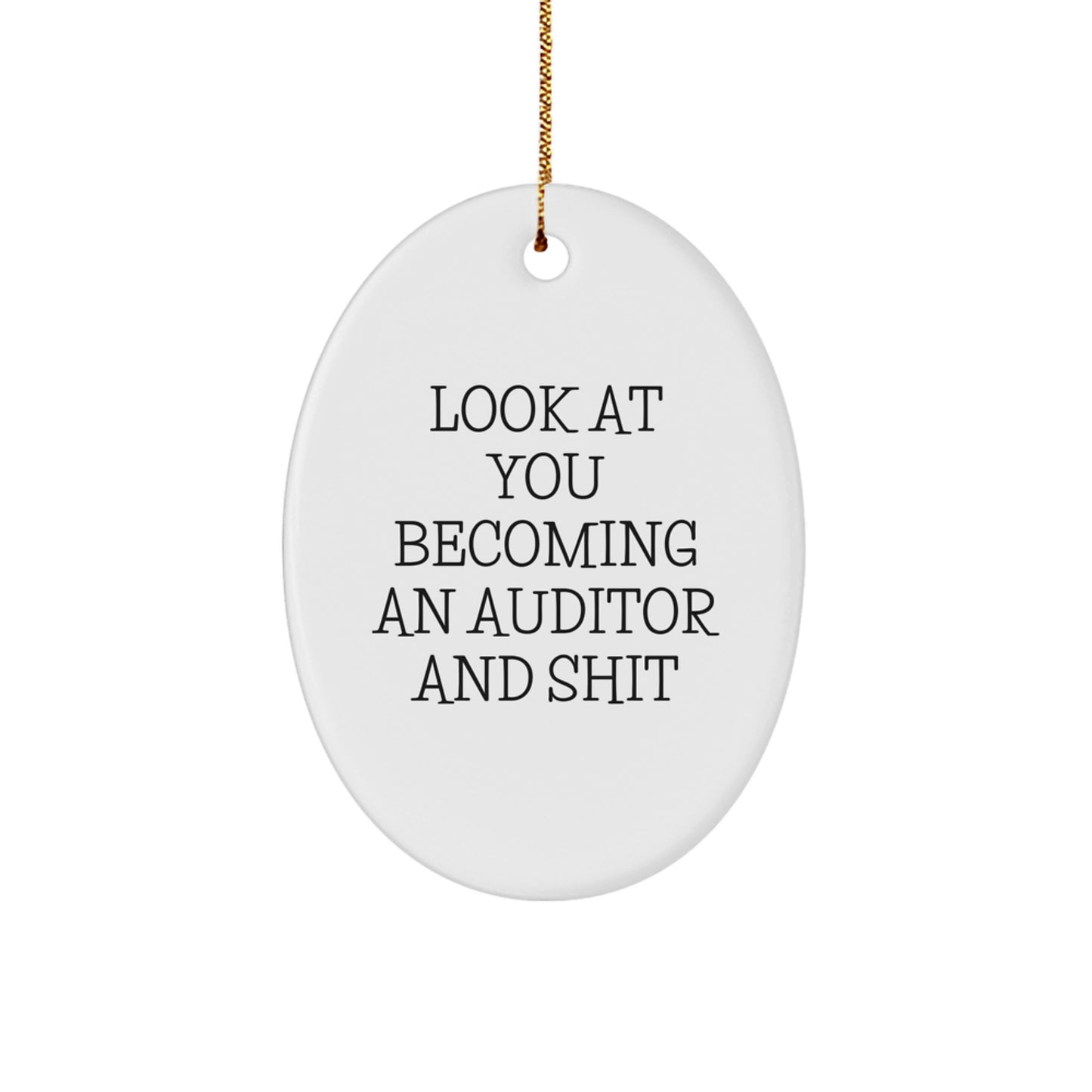 Funny Auditor Oval Ornament Gifts from Friends for Women Auditors - Christmas Unique Decorations - Image 1