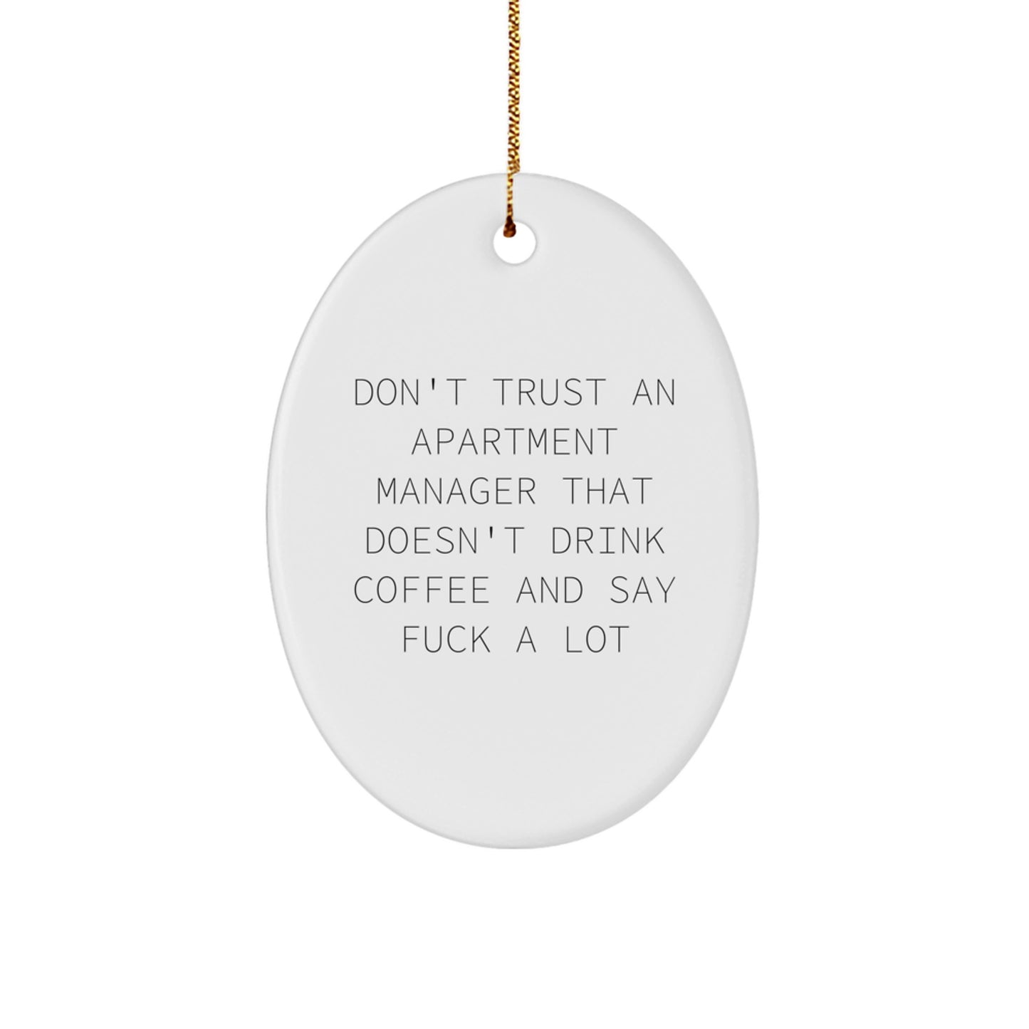 Funny Apartment Manager Gifts from Friends for Men - Oval Ornament Christmas Unique Presents - Image 1