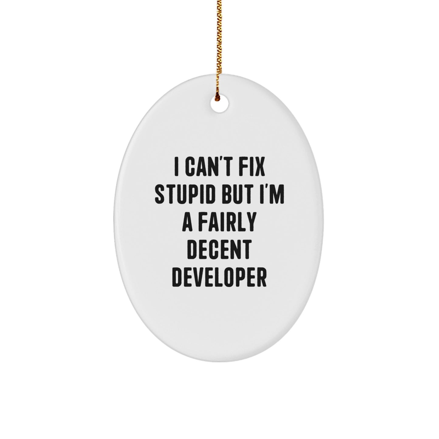 Funny Developer Oval Ornament, Gifts from Coworkers to Developer Friends at Christmas Time, Oval Shaped Home Decor for Men and Women - Image 1