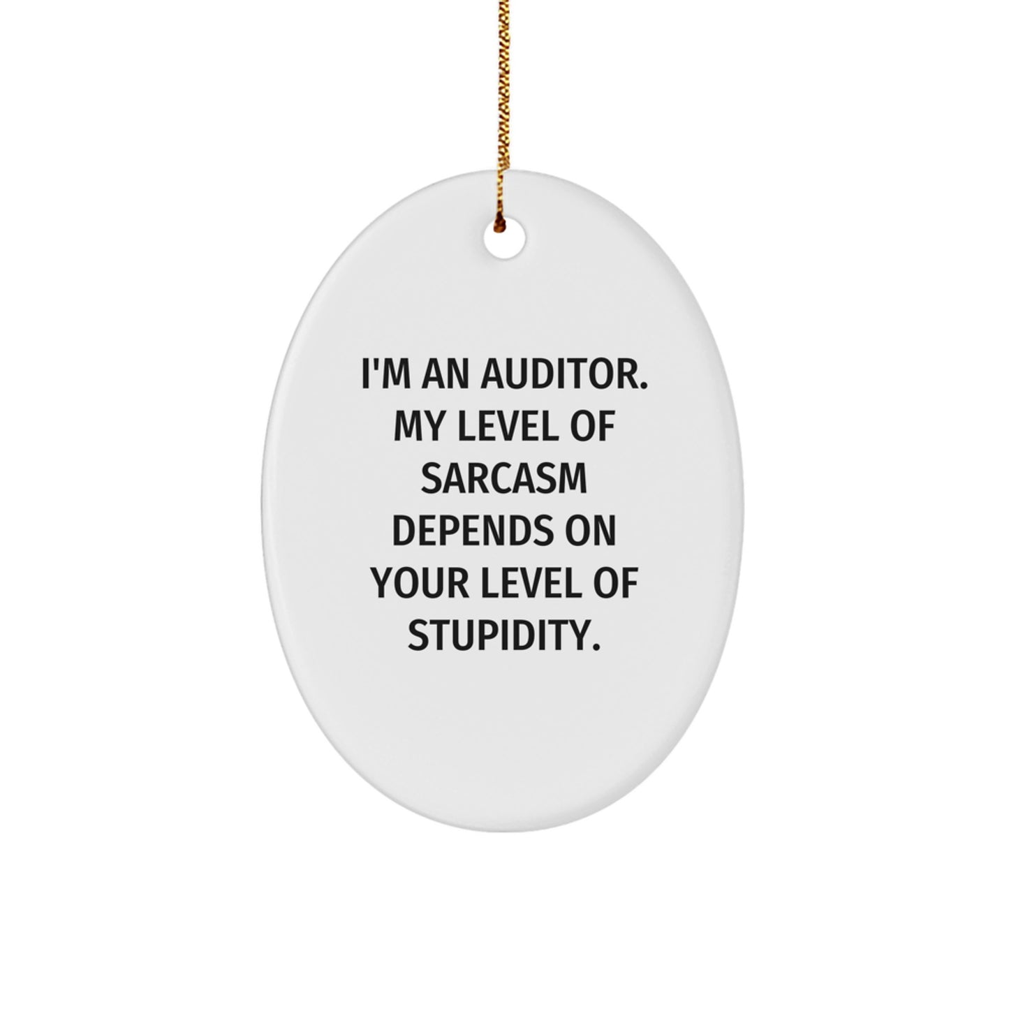 Auditor Gifts for Christmas, Funny Oval Ornament with Sarcasm Motif Gifts from Friends Family - Image 1