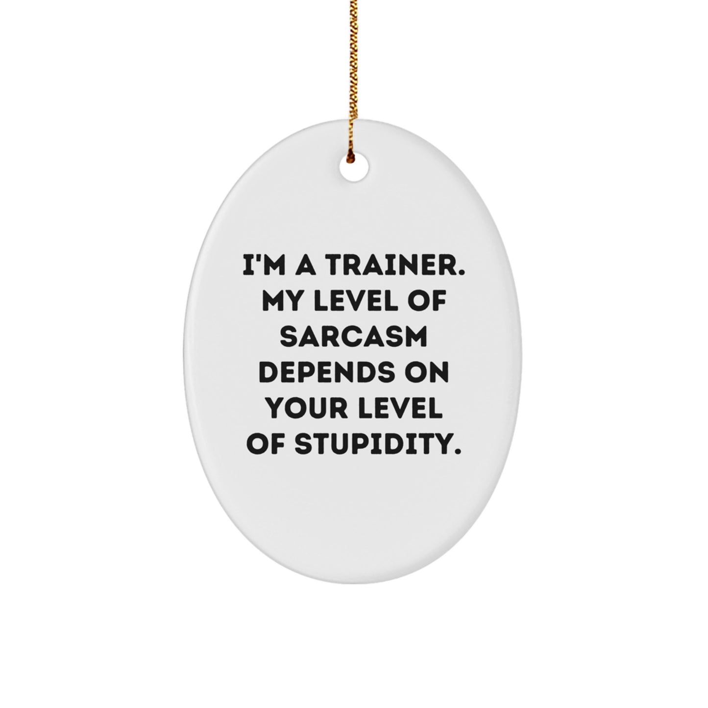 Funny Trainer Gifts for Men, Oval Ornament with Sarcasm Quote from Friends, Perfect for Coworkers or Family - Image 1