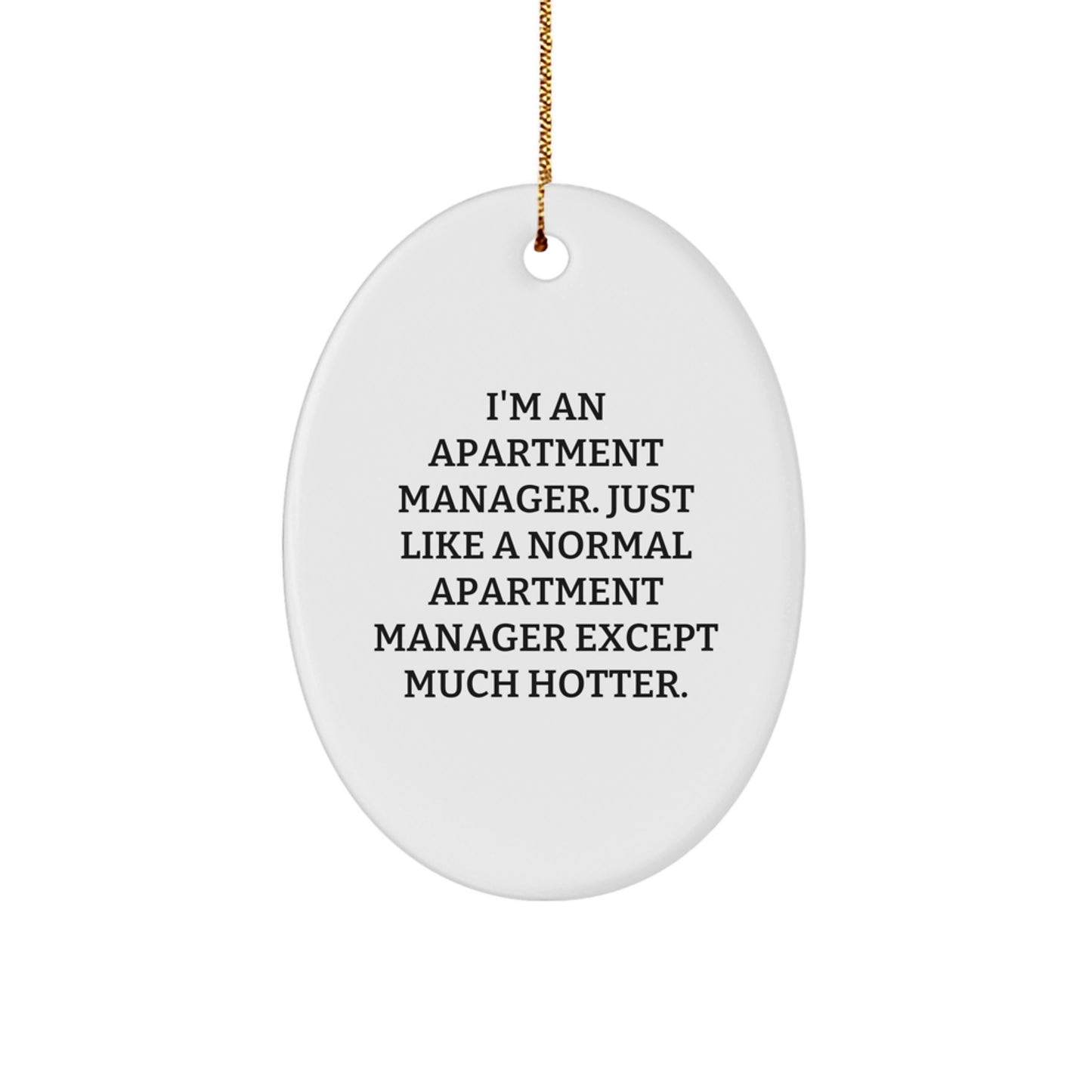 Funny Apartment Manager Christmas Oval Ornament Gifts from Family for Apartment Manager Friends - Image 1