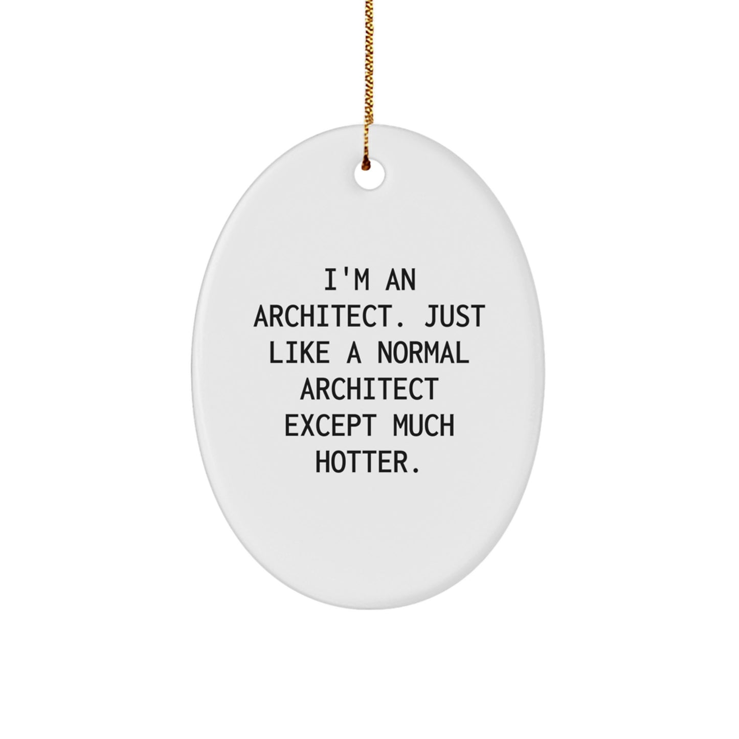 Funny Architect Oval Ornament Gifts from Friends for Architect Men Women - Image 1