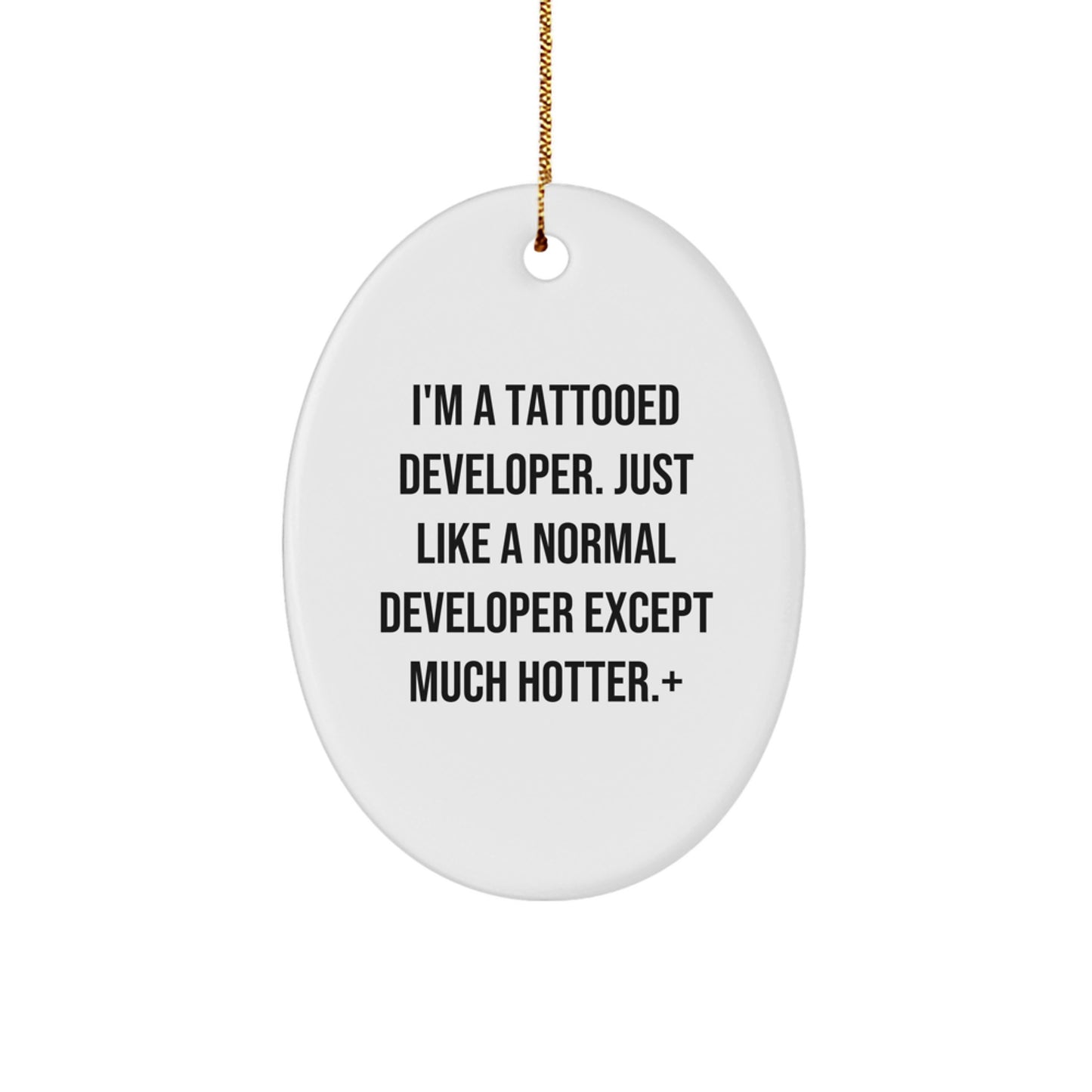 Funny Developer Oval Ornament Gifts from Friends for Men, Women and Family Members This Christmas - Image 1