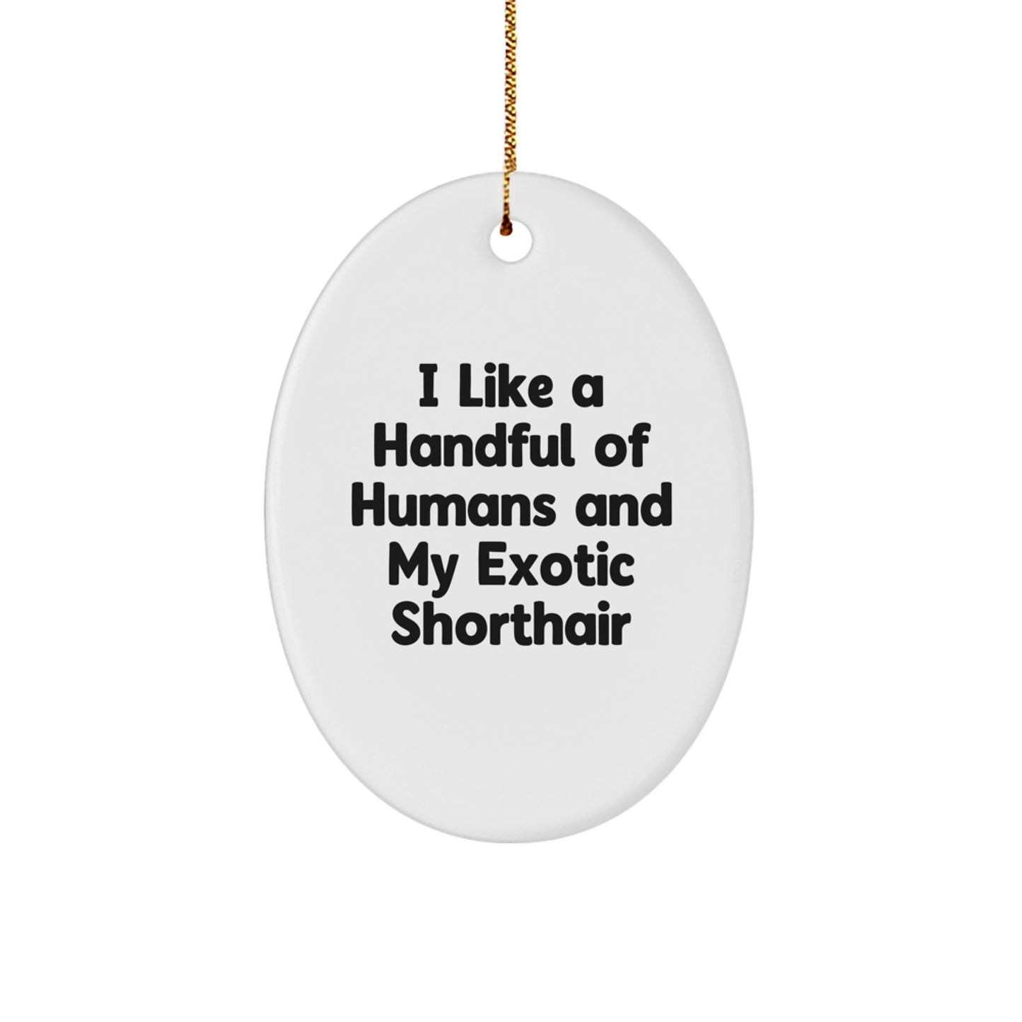 Exotic Shorthair Cat Oval Ornament Funny Quote Gifts from Friends for Christmas Unique - Image 1