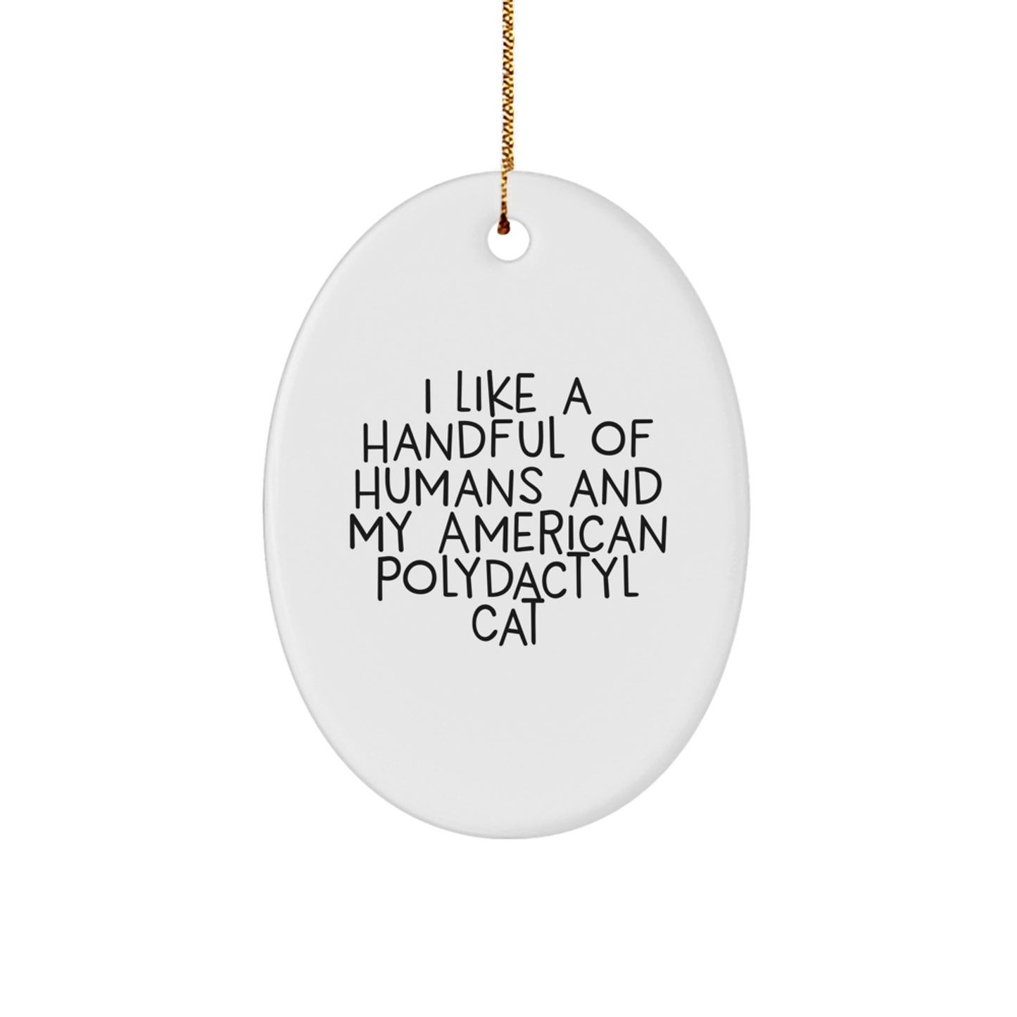 American Polydactyl Cat Oval Ornament Gifts from Friends and Family for Christmas Unique Decorations - Image 1