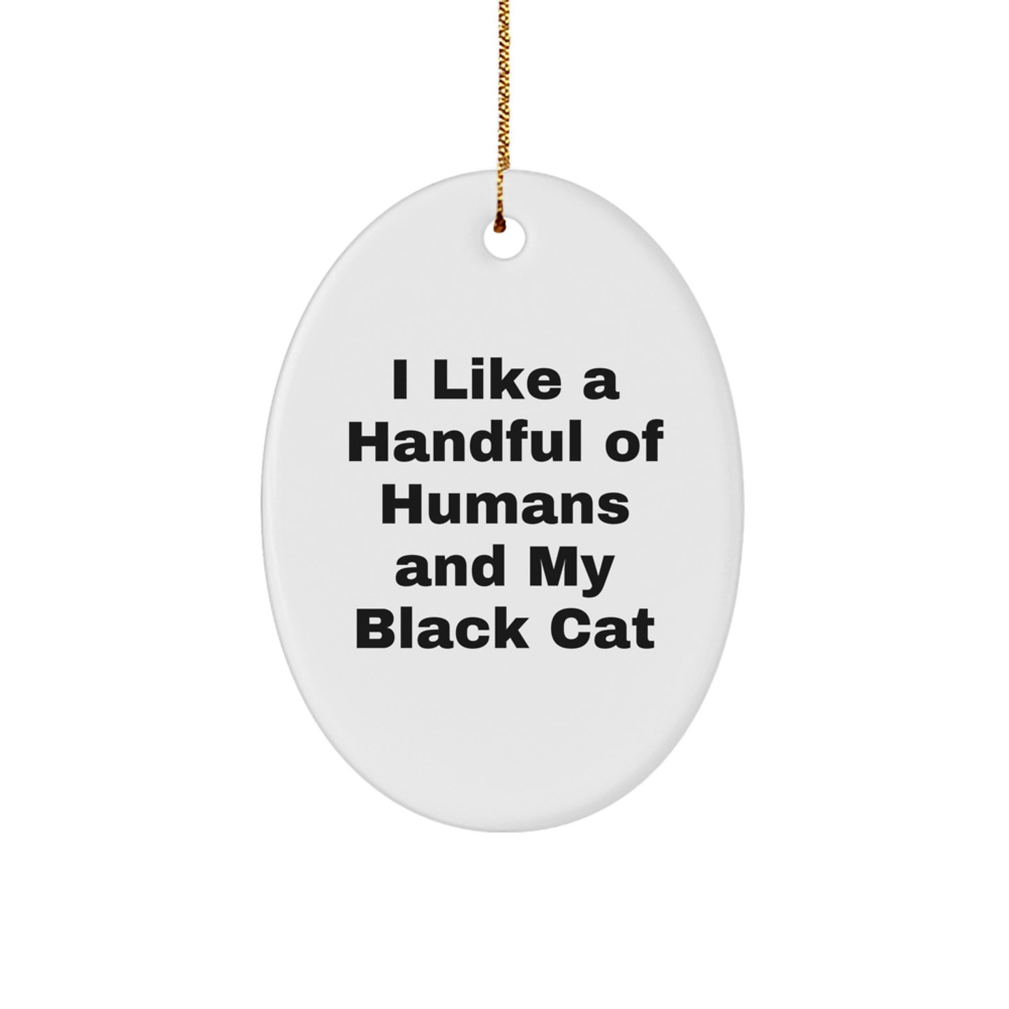 Funny Black Cat Oval Ornament Gifts from Men to Friends for Christmas - Image 1