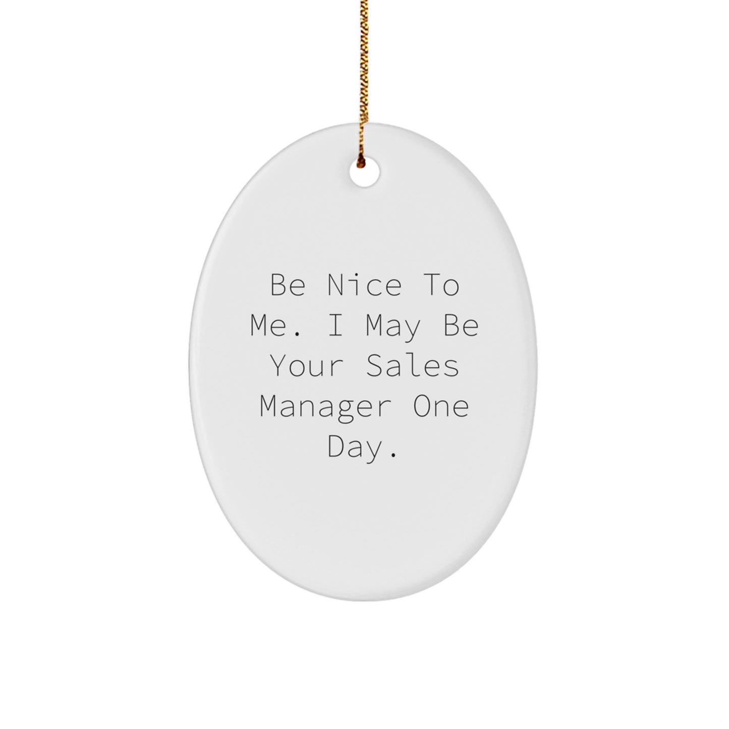 Funny Sales Manager Gifts, Oval Ornament, 'Be Nice To Me' Quote for Men, Women, Friends, Coworkers, Family Members, Christmas Unique Decorations - Image 1