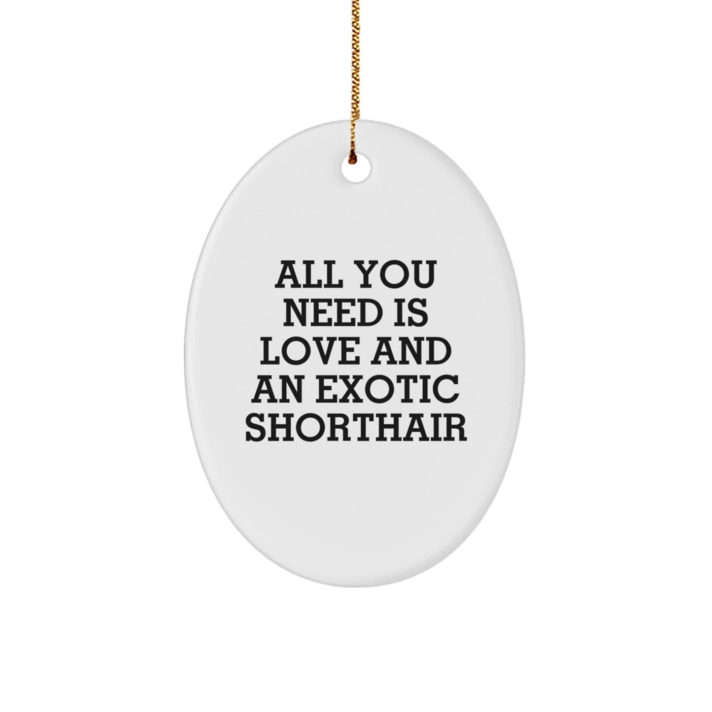 Exotic Shorthair Cat Lovers Christmas Oval Ornament Gifts from Family Friends - Image 1