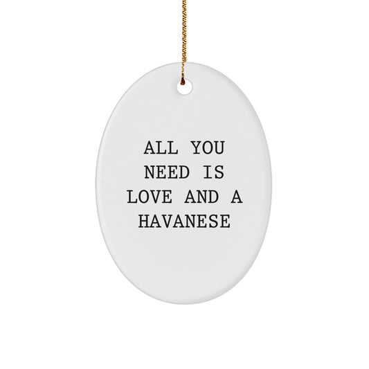Gifts from Friends to Havanese Dog Lovers - All You Need Is Love - Oval Ornament for Christmas - Image 1