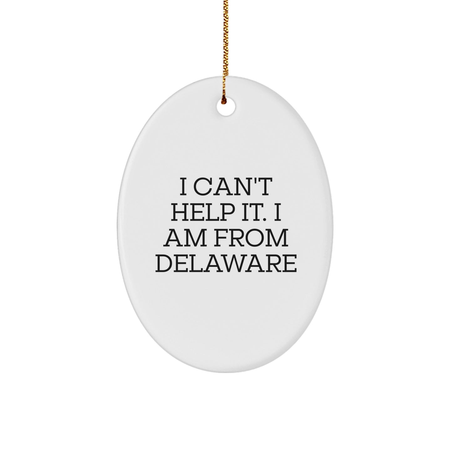 Delaware Oval Ornament Funny Quote Gifts from Family Friends, Oval Christmas Decorations, Decorative Home Gifts for Delaware Residents - Image 1