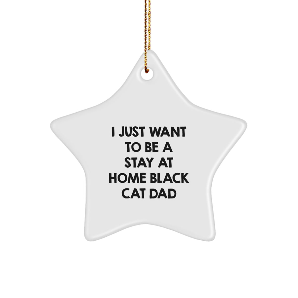 Funny Black Cat Dad Gifts from Men to Family - Star Ornament for Black Cat Lovers at Christmas, 'I Just Want To Be A Stay At Home Black Cat Dad' Quote - Image 1