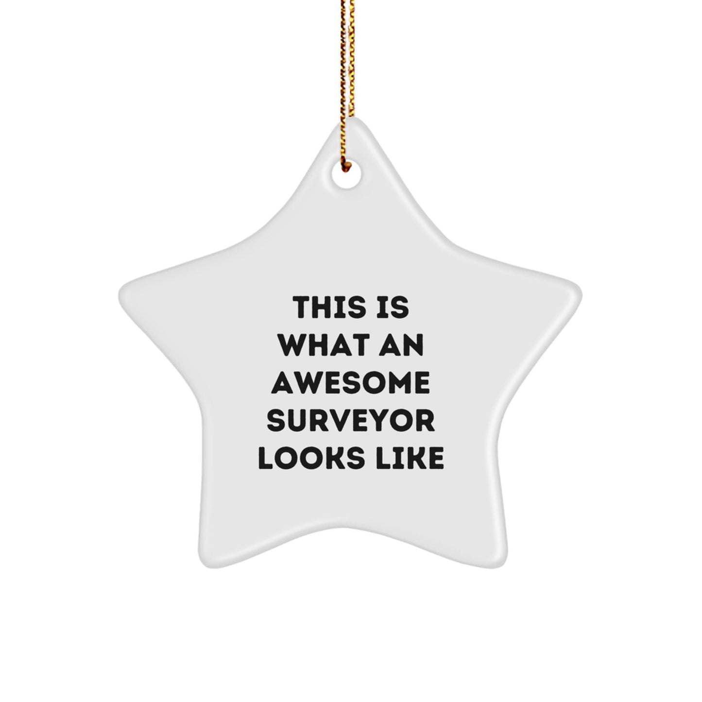 Funny Surveyor Gifts from Friends for Men's Christmas Unique Star Ornament - Image 1