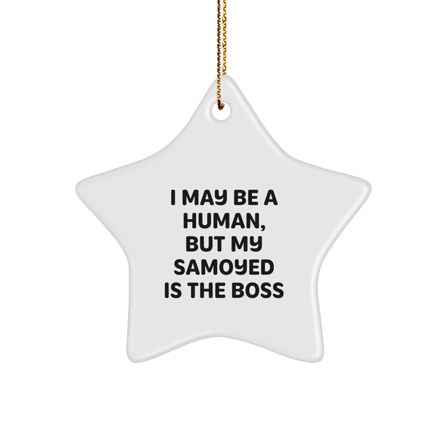 Funny Samoyed Dog Star Ornament Gifts from Men to Friends for Christmas - Image 1
