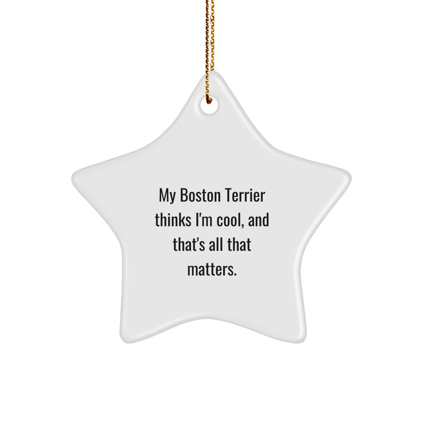 Funny Boston Terrier Dog Gifts from Friends for My Boston Terrier Thinks I'm Cool, And That's All That Matters. Christmas Star Ornament - Image 1