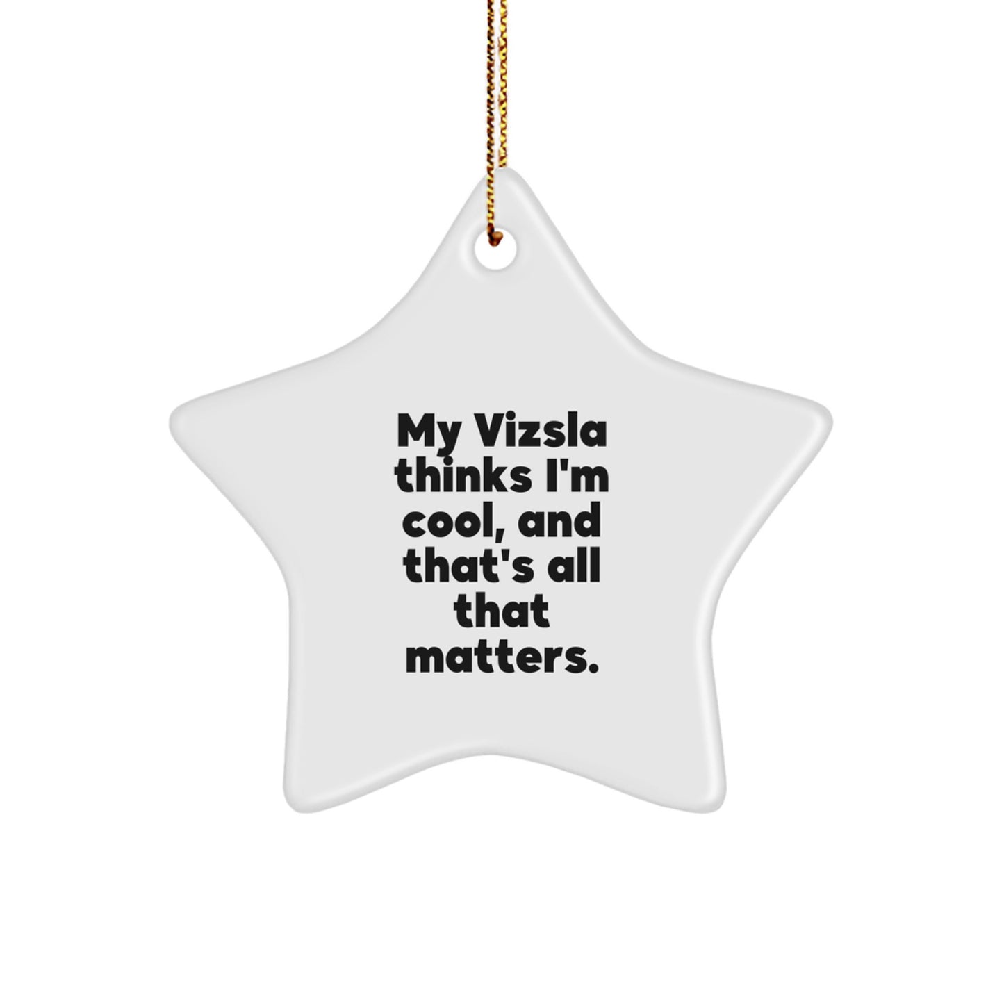 Funny Vizsla Dog Lover Gifts from Friends and Family for Christmas Unique Ornaments Star Shaped White Color - Image 1