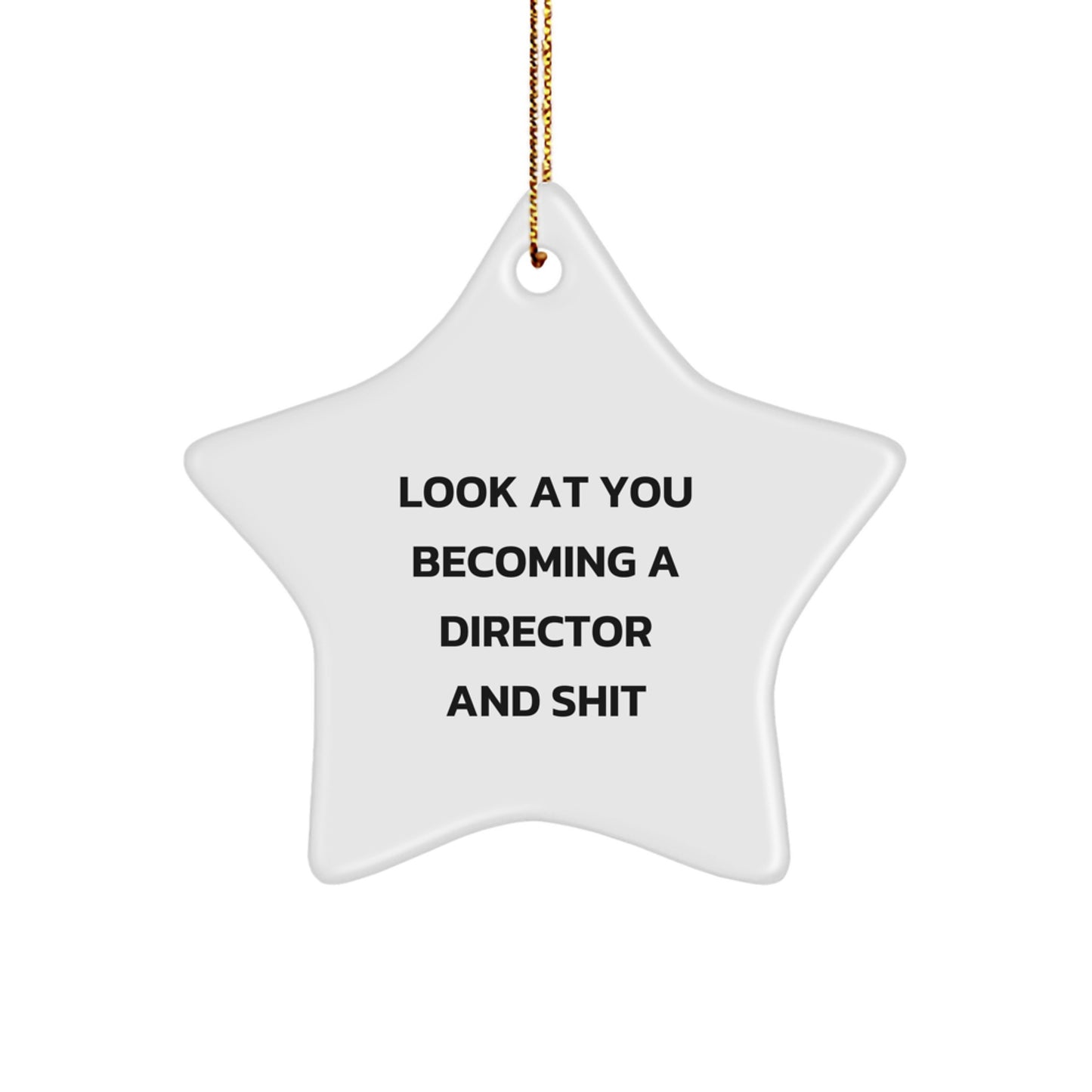 Funny Director Gifts from Friends and Family - Look At You Becoming A Director And Shit Star Ornament, Perfect for Christmas Unique Gifts for Men, Women, or Coworkers - Image 1